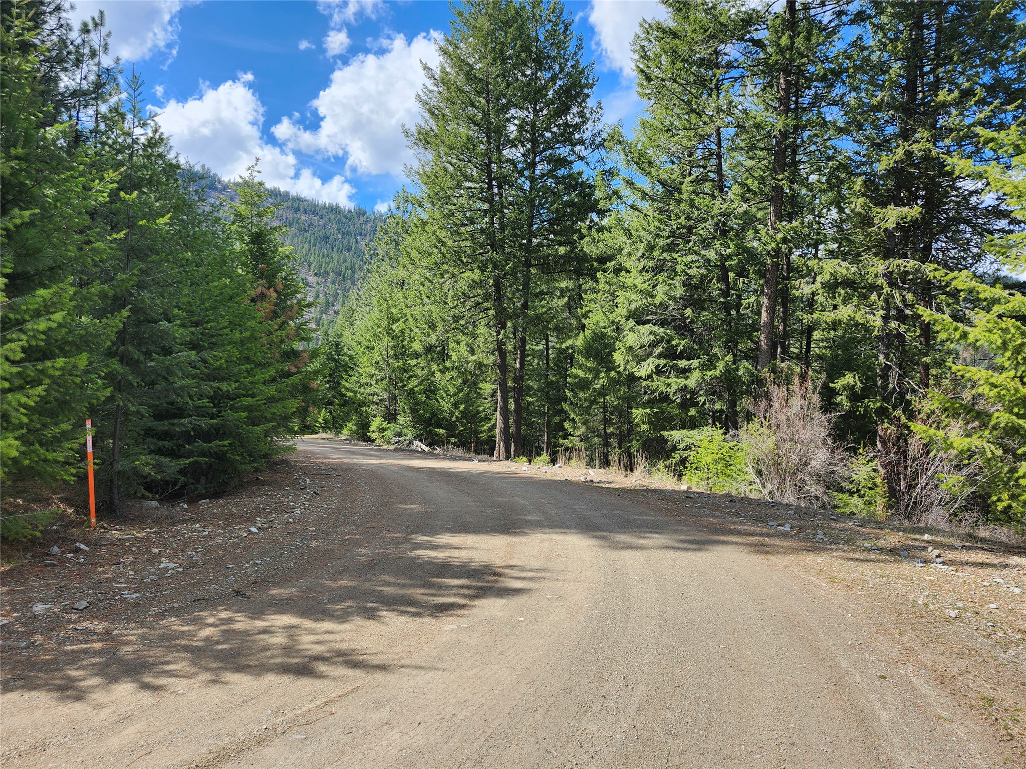 107 Mountain Road Property Photo 3