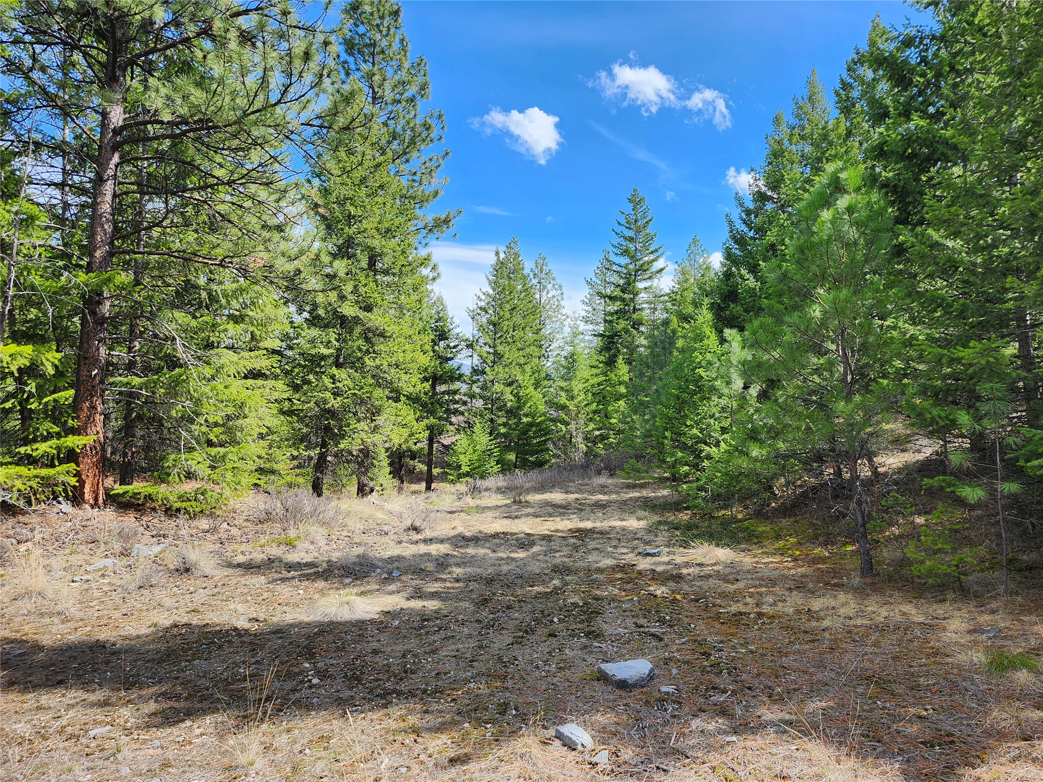 107 Mountain Road Property Photo 4