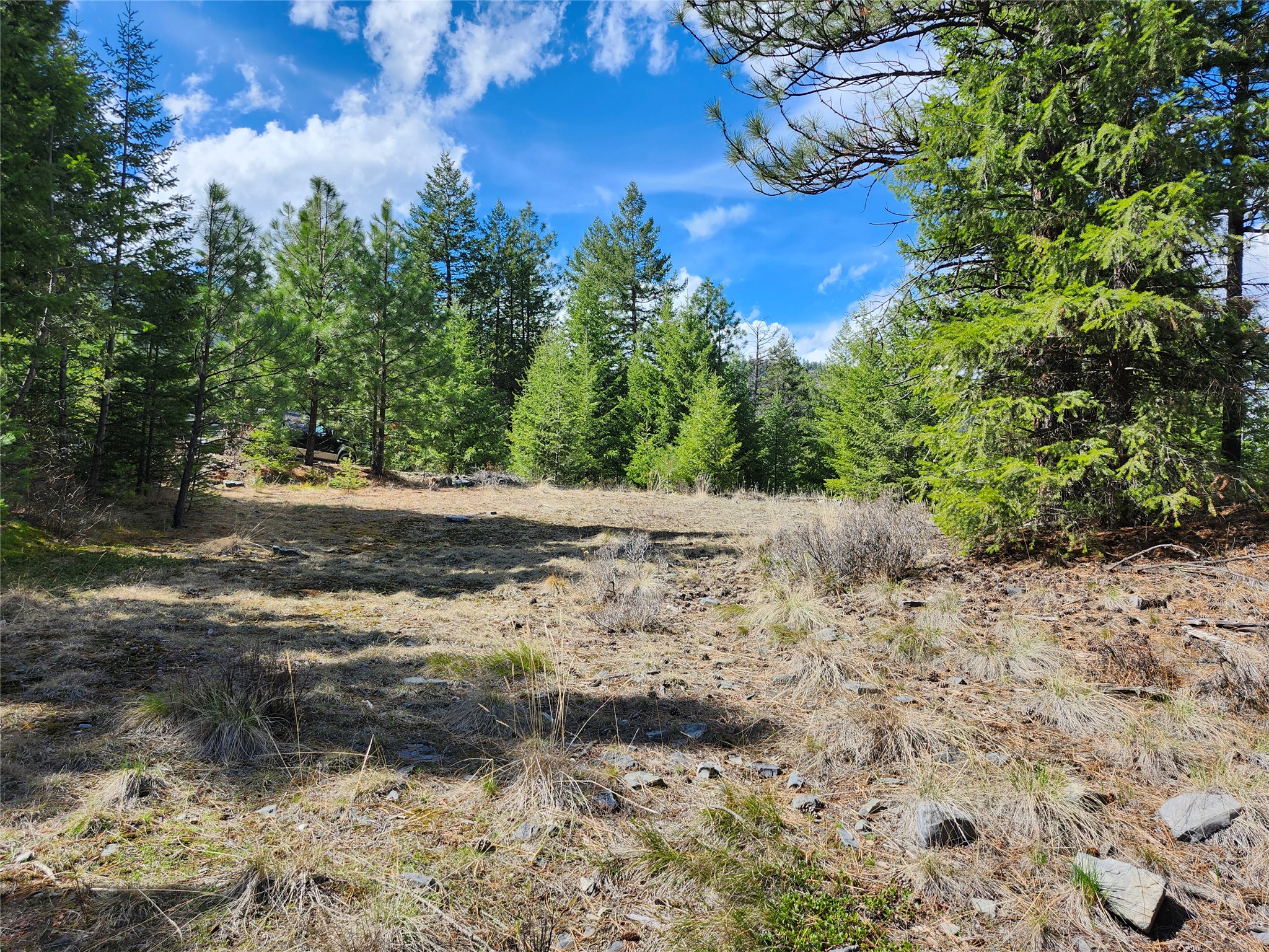 107 Mountain Road Property Photo 5