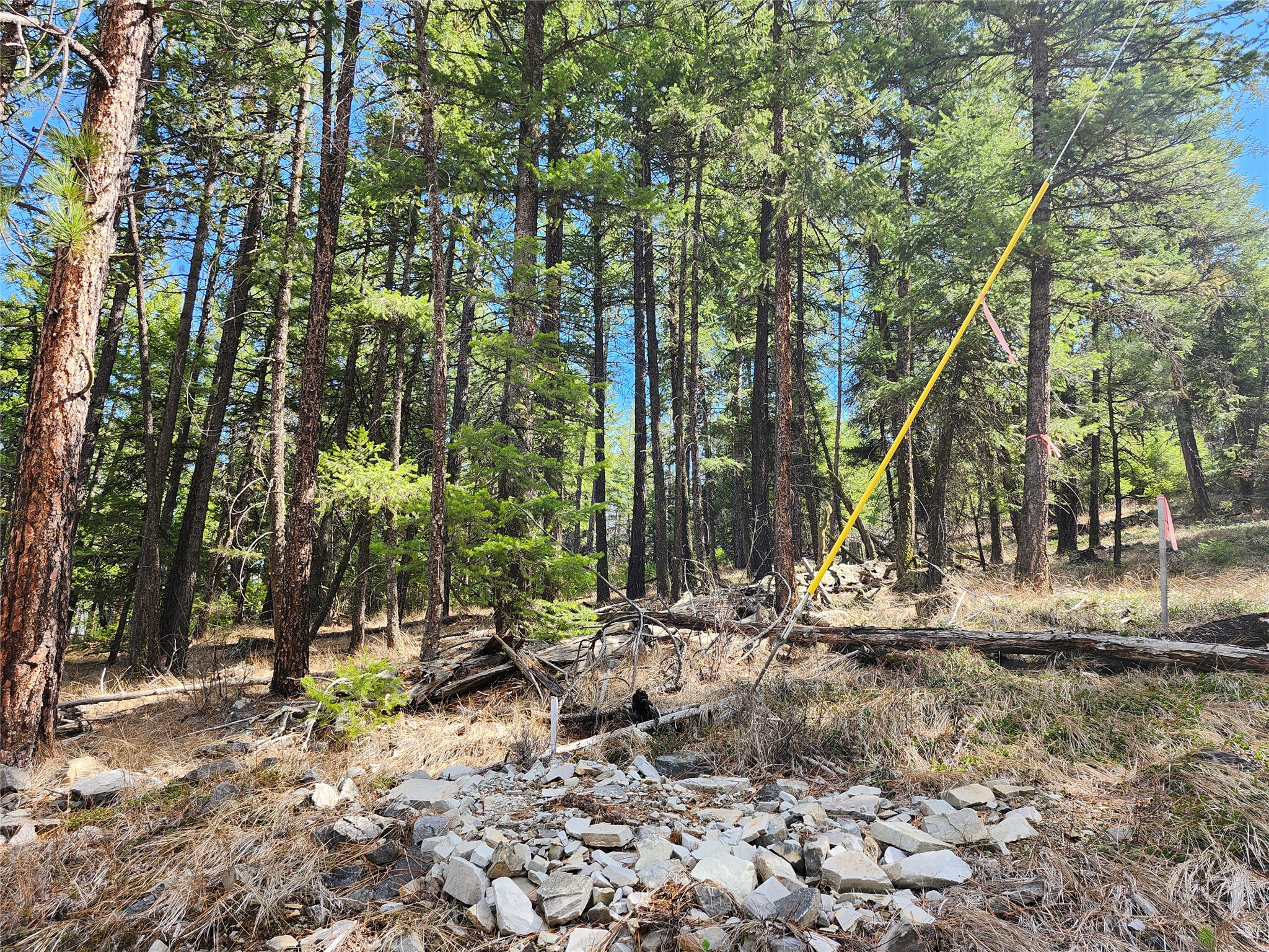 107 Mountain Road Property Photo 6