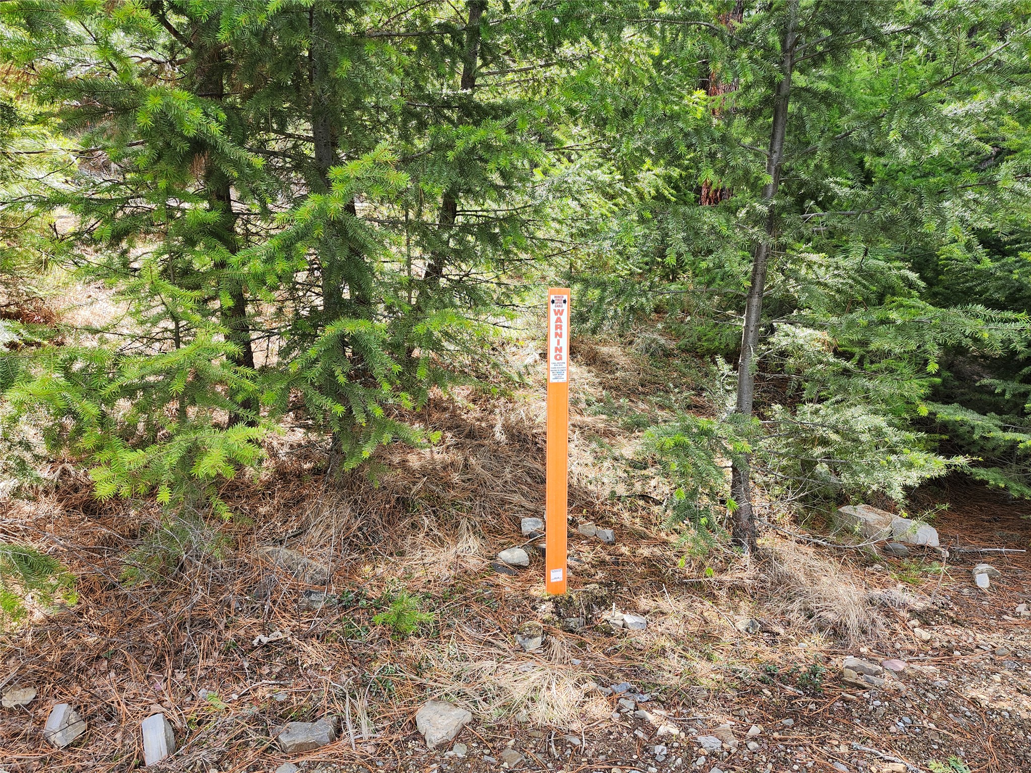 107 Mountain Road Property Photo 7