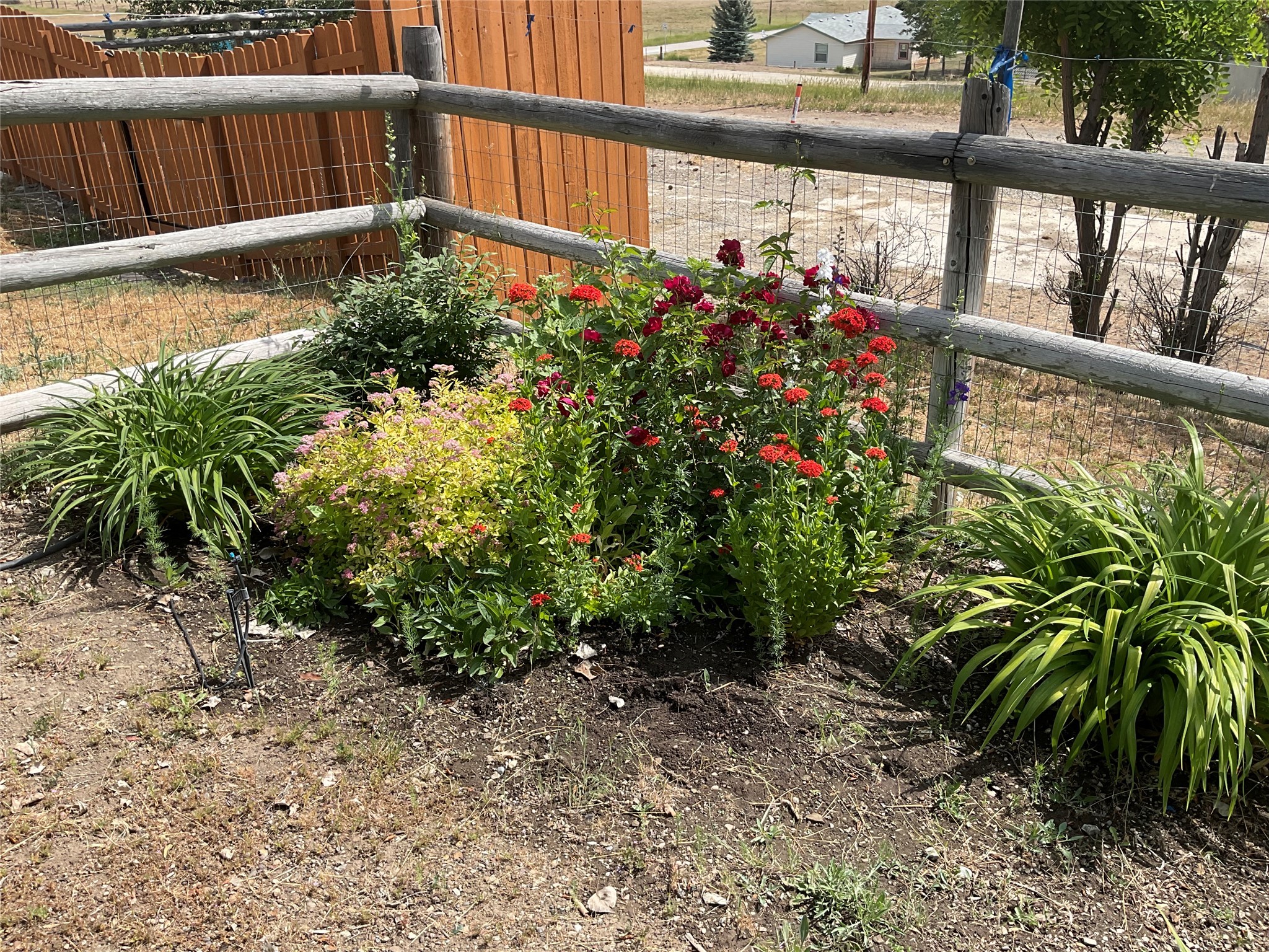 402 Aeneas Street N Property Photo 4