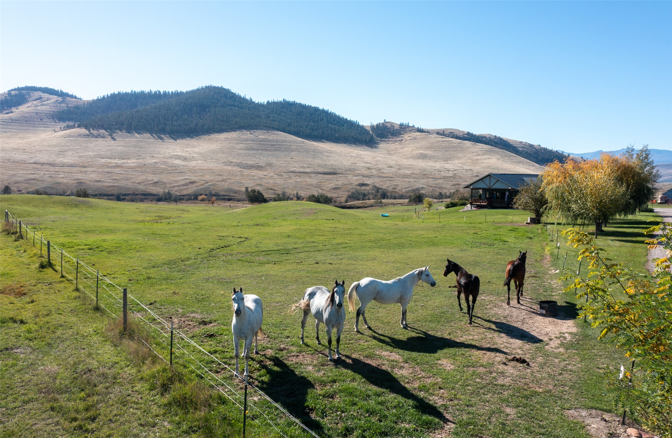58410 Crow Dam Road Property Photo 9