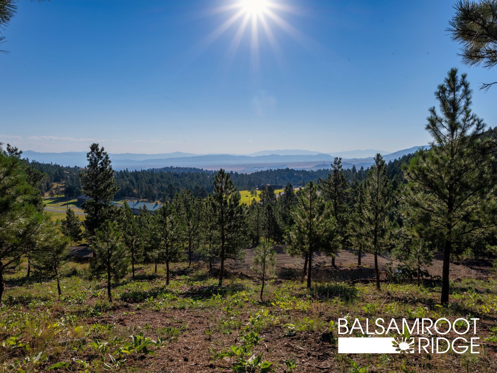 12 Trail Ridge Road Property Photo