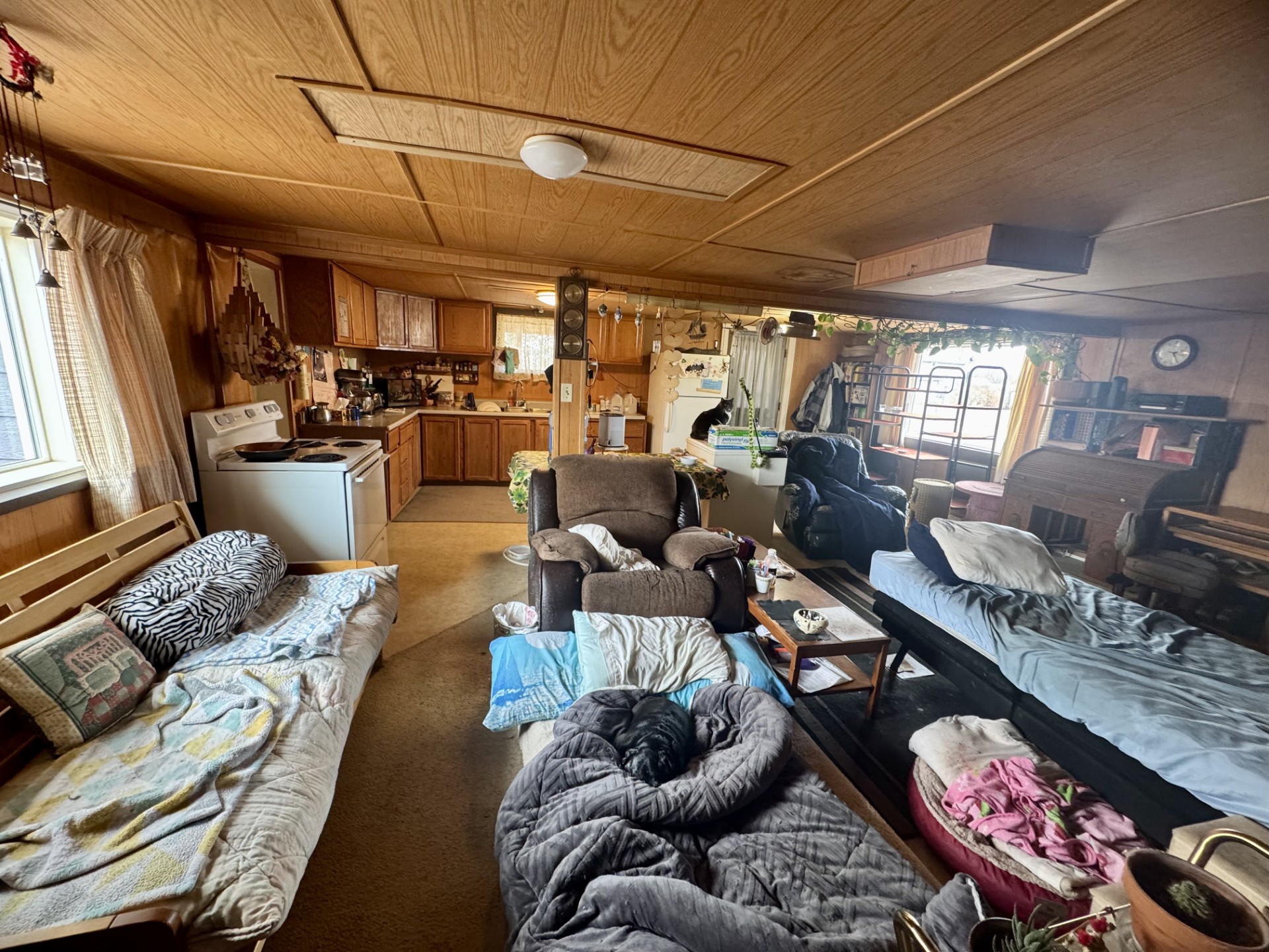 5546 Carolina Drive Property Photo 4