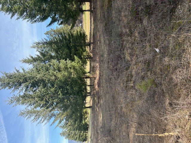 1 Fairview Drive Property Photo