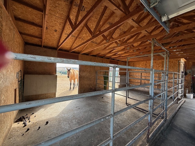 47 Caragana Drive Property Photo 43