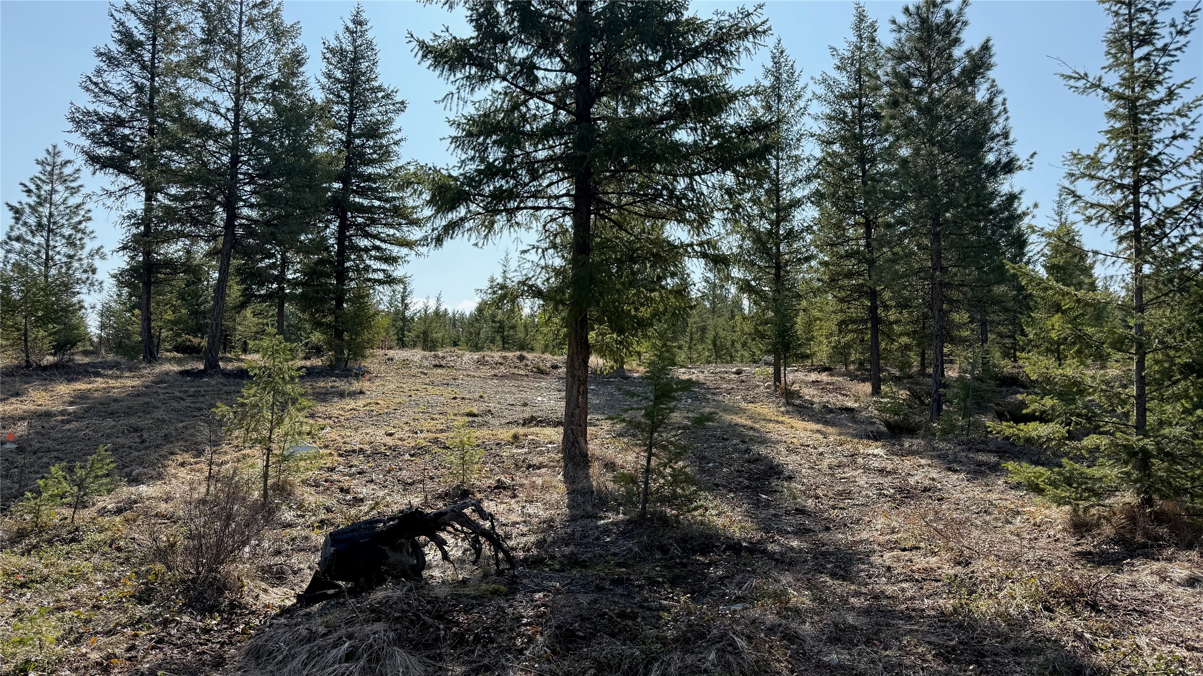 Tbd Kootenai Echo Trail Property Photo 2