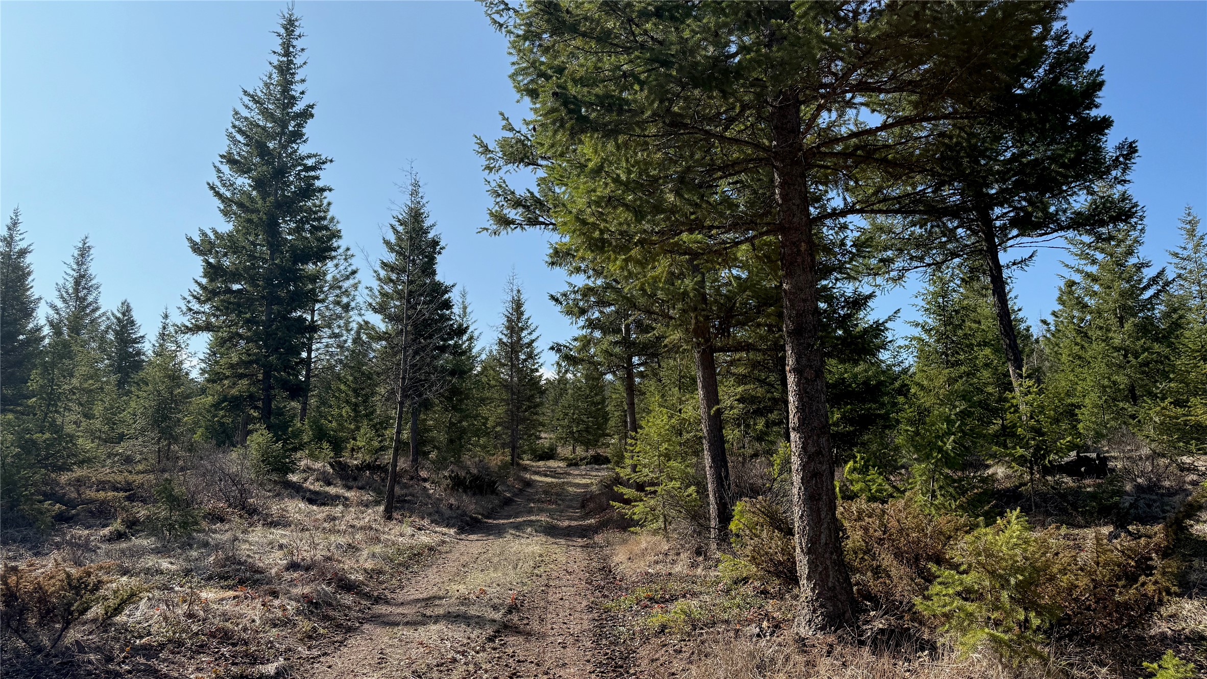 Tbd Kootenai Echo Trail Property Photo 3
