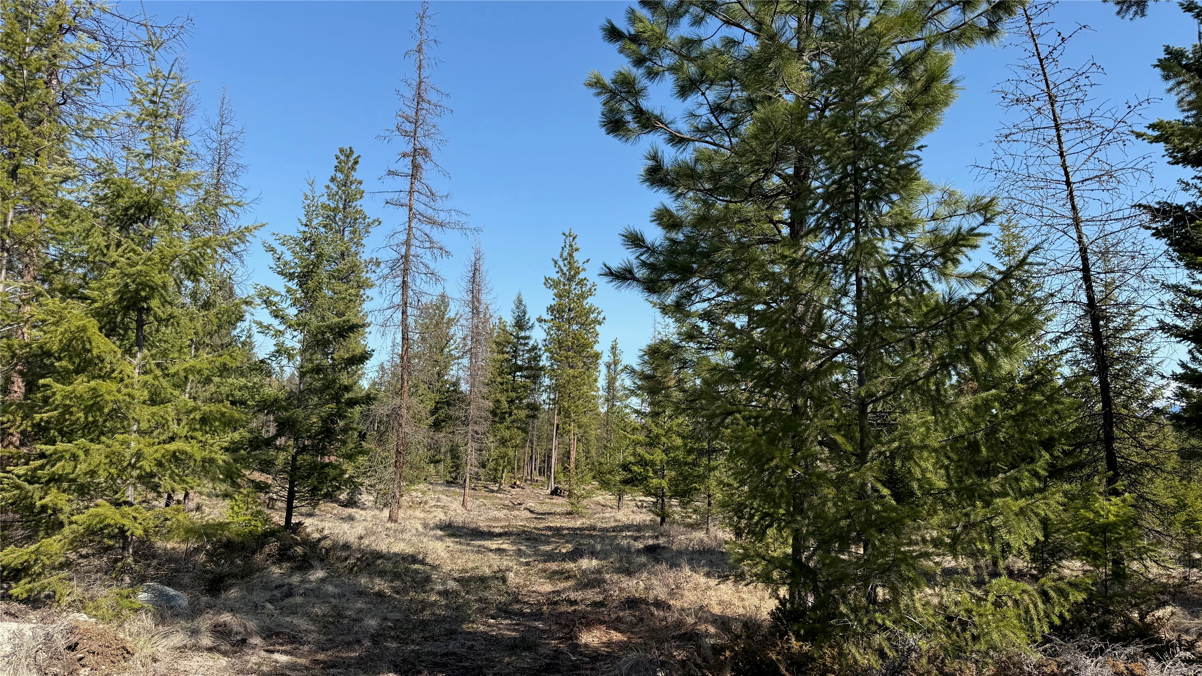 Tbd Kootenai Echo Trail Property Photo 7