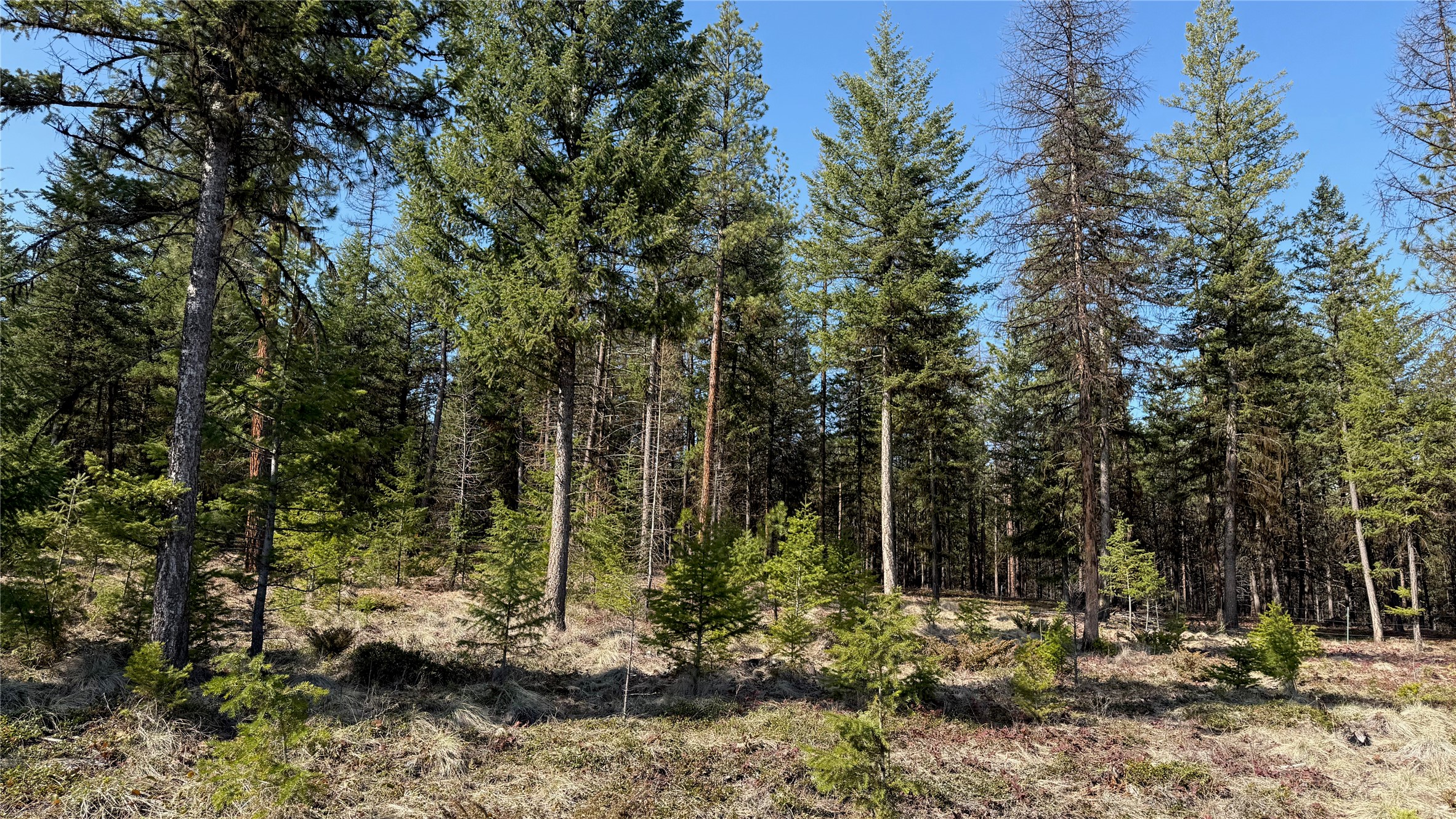 Tbd Kootenai Echo Trail Property Photo 10