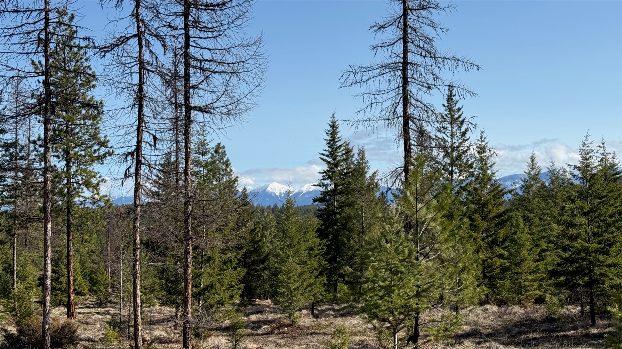 Tbd Kootenai Echo Trail Property Photo 13
