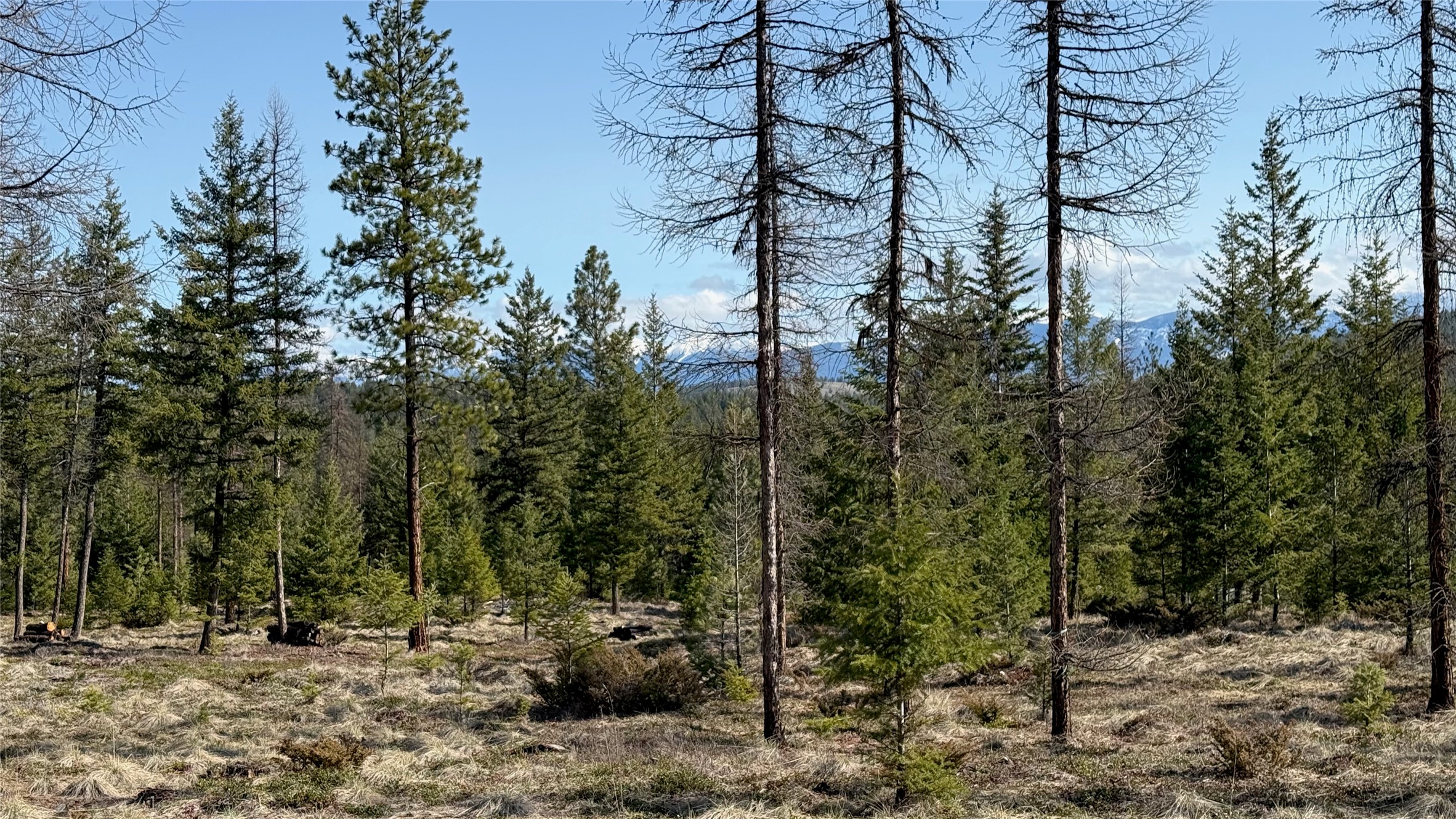 Tbd Kootenai Echo Trail Property Photo 14