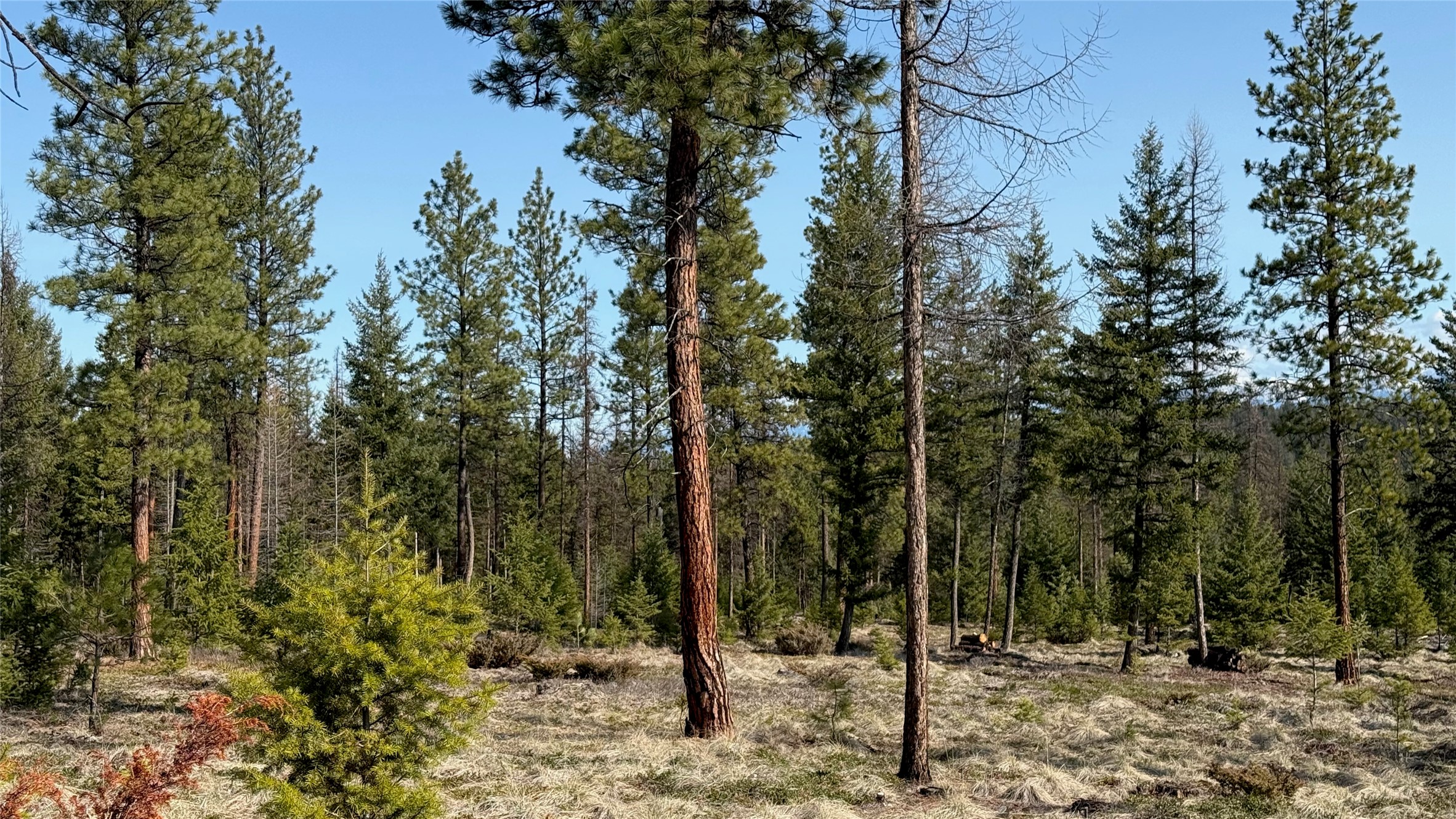 Tbd Kootenai Echo Trail Property Photo 15