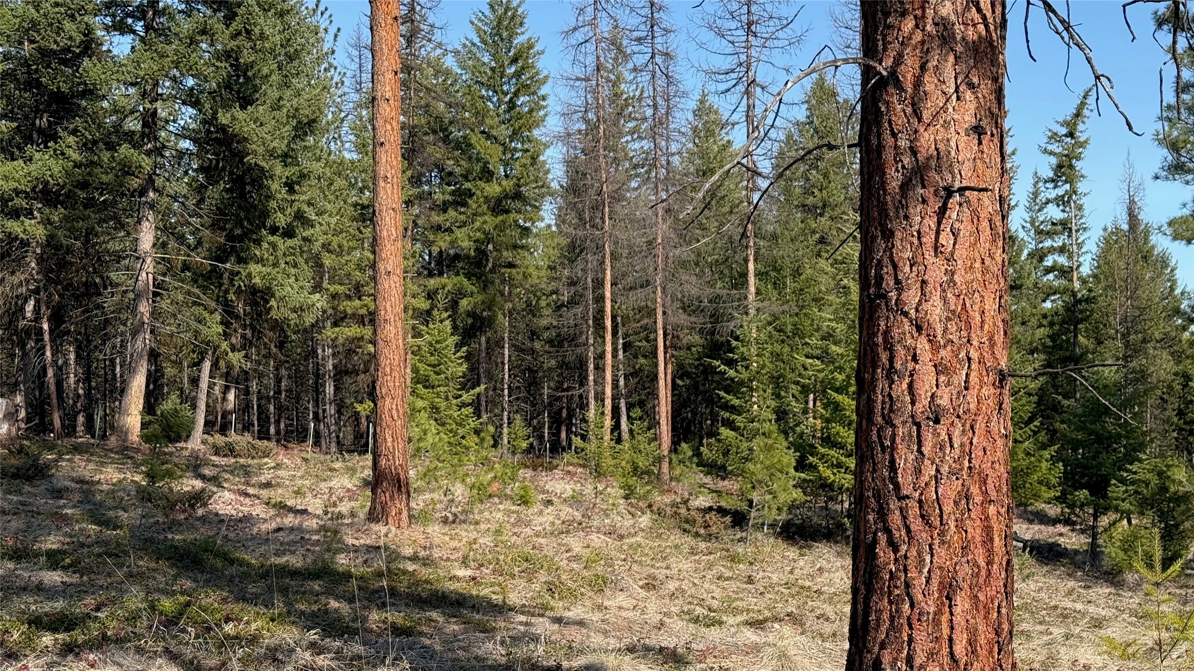 Tbd Kootenai Echo Trail Property Photo 16