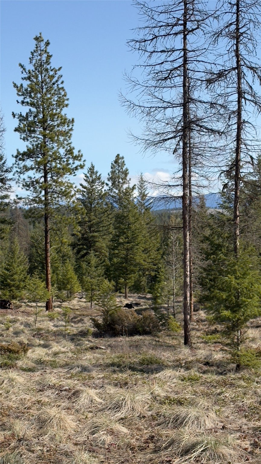 Tbd Kootenai Echo Trail Property Photo 17