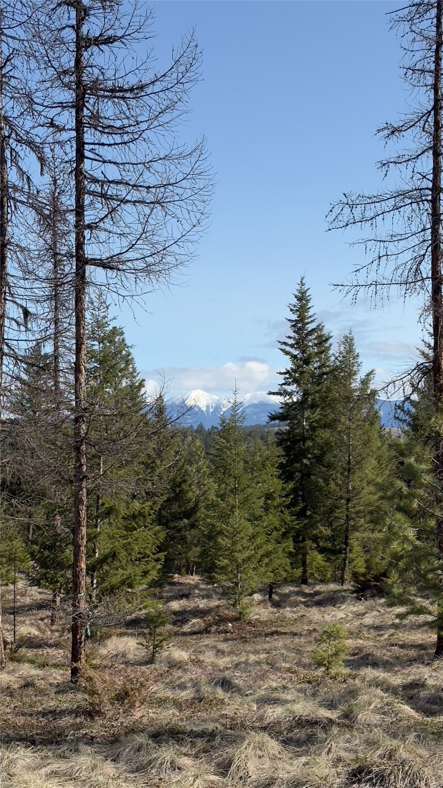 Tbd Kootenai Echo Trail Property Photo 18