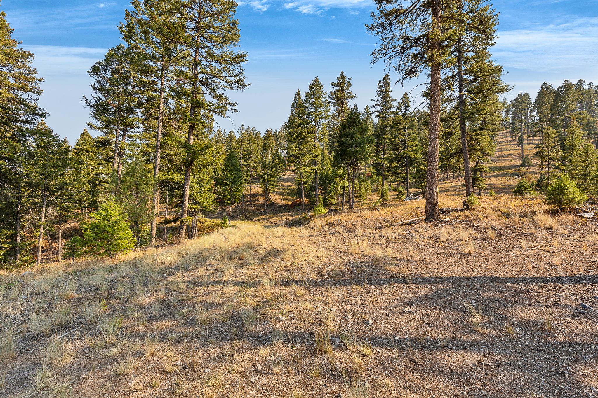 6300 Camas Creek Road Property Photo 33