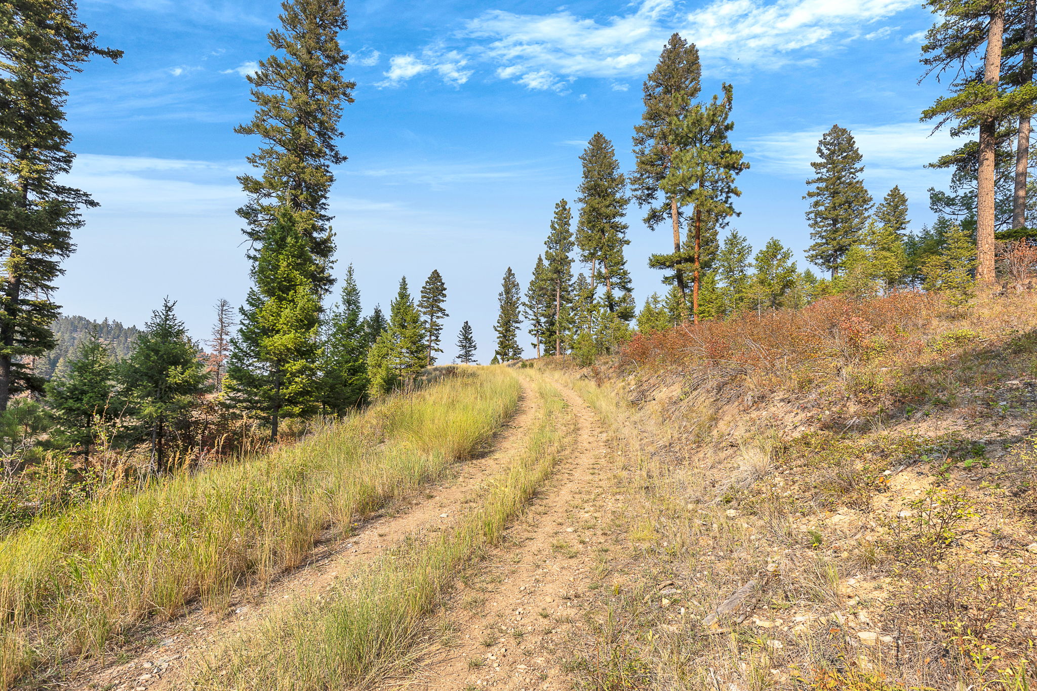 6300 Camas Creek Road Property Photo 45