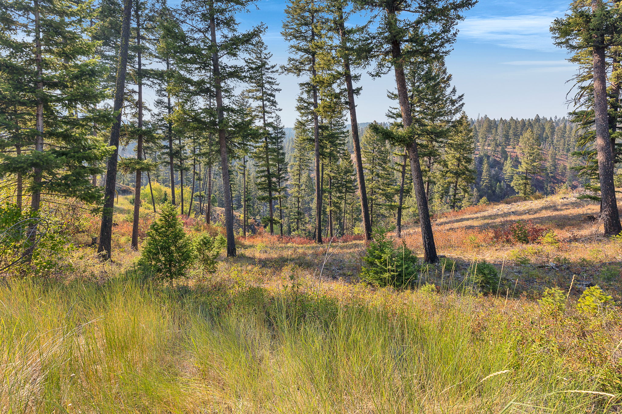 6300 Camas Creek Road Property Photo 46
