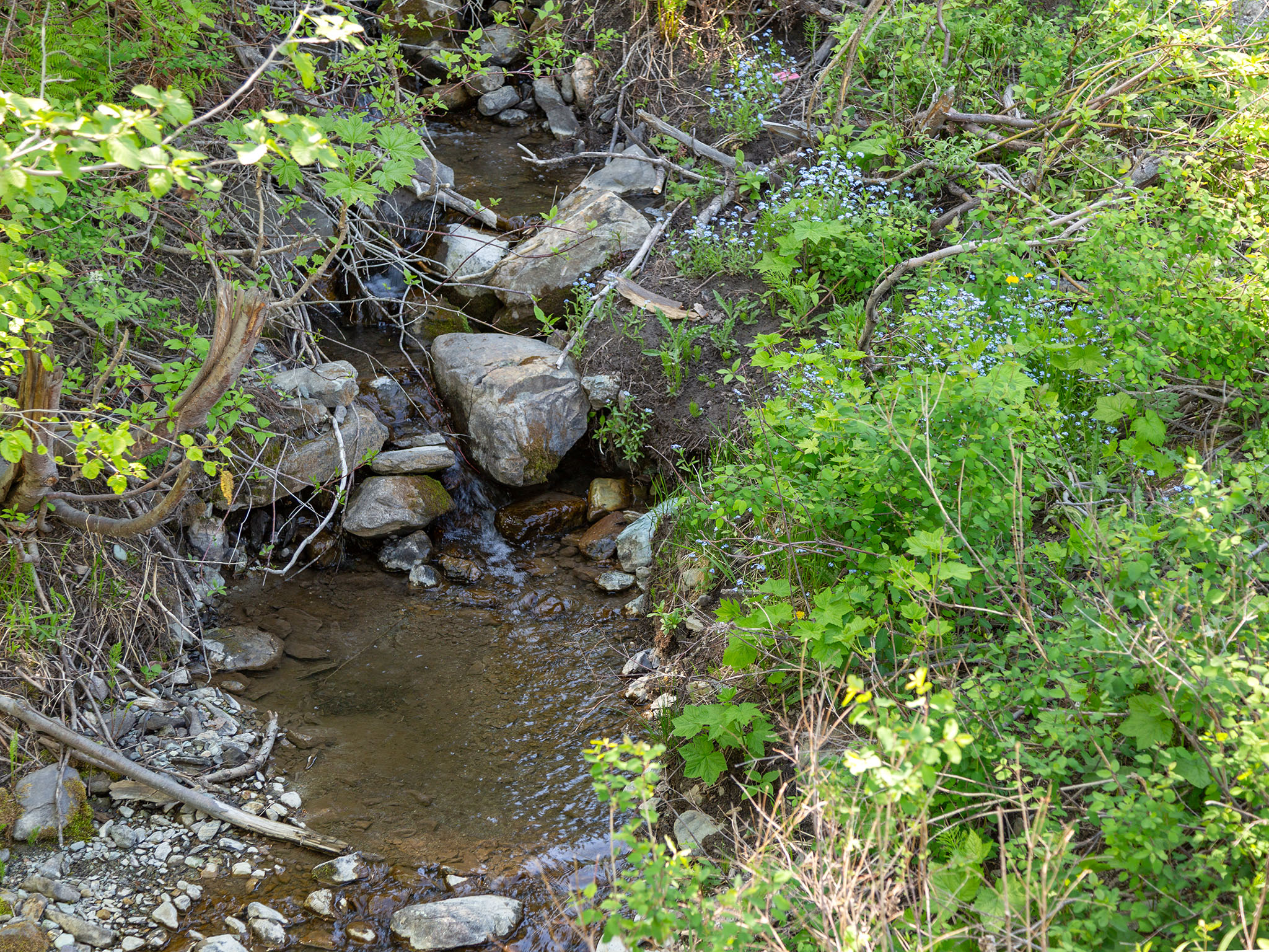 398 Moose Run Drive Property Photo 77