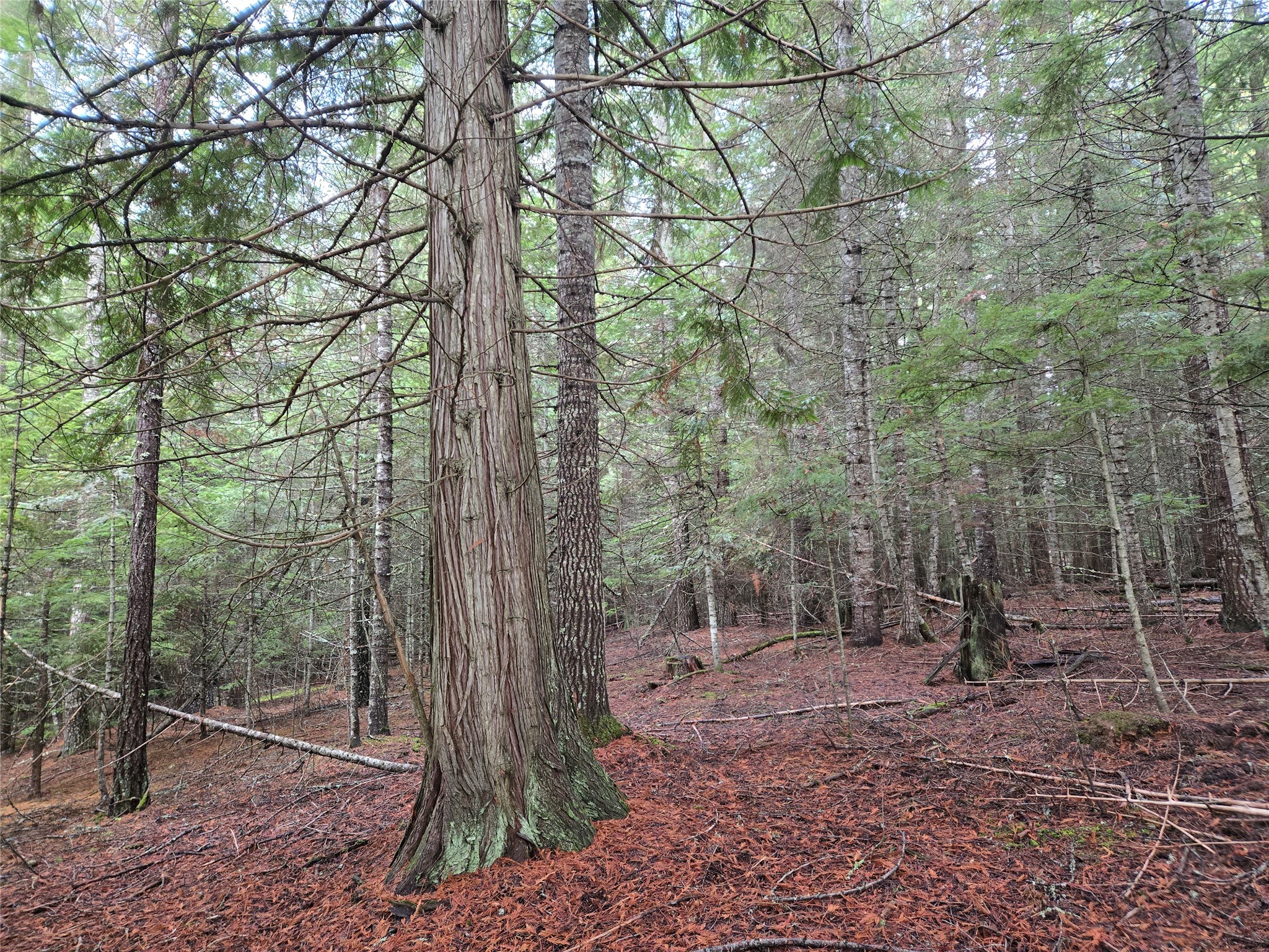 Lot A-4 Elk Heights Lane Property Photo 1
