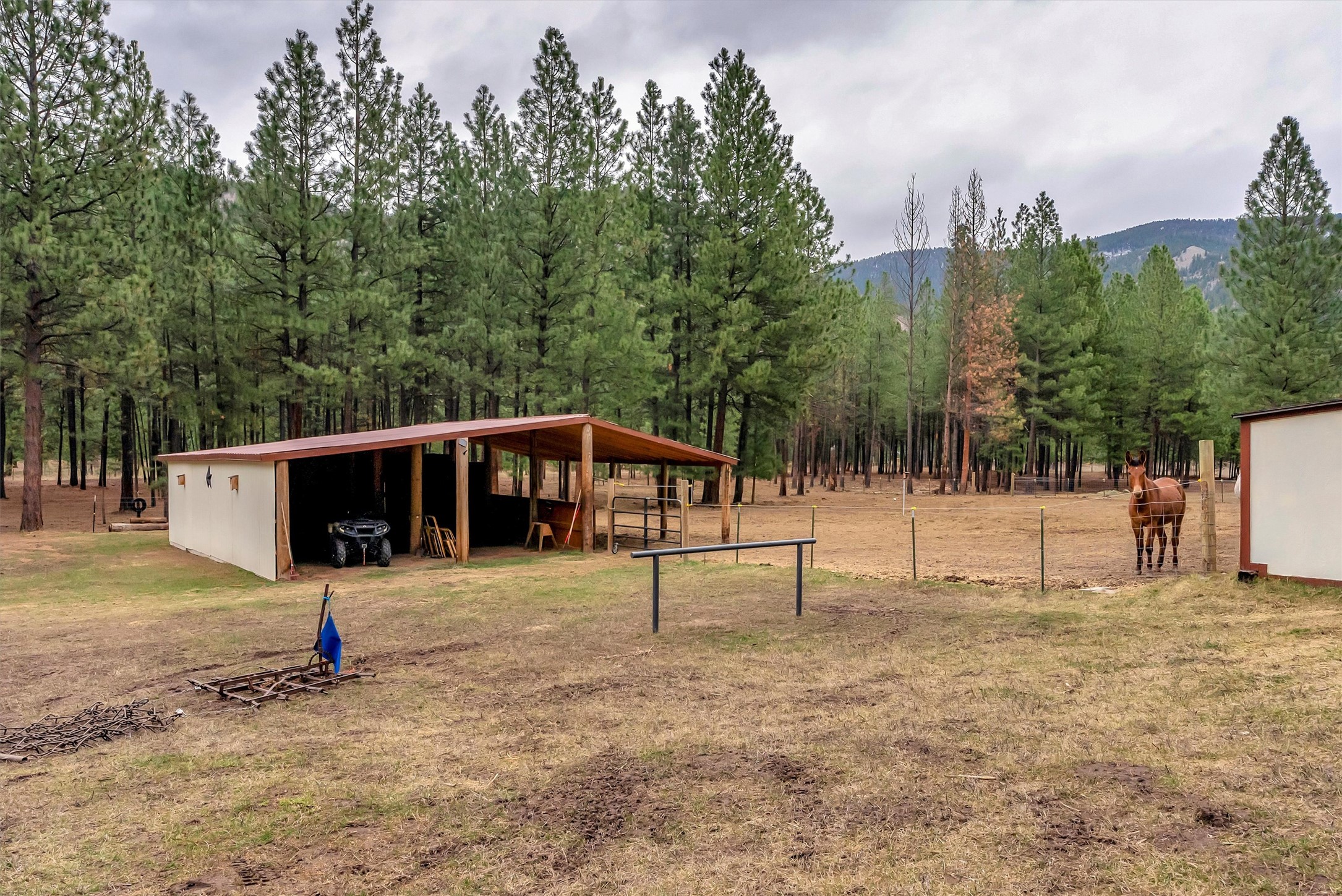 847 Plateau Road Property Photo 34
