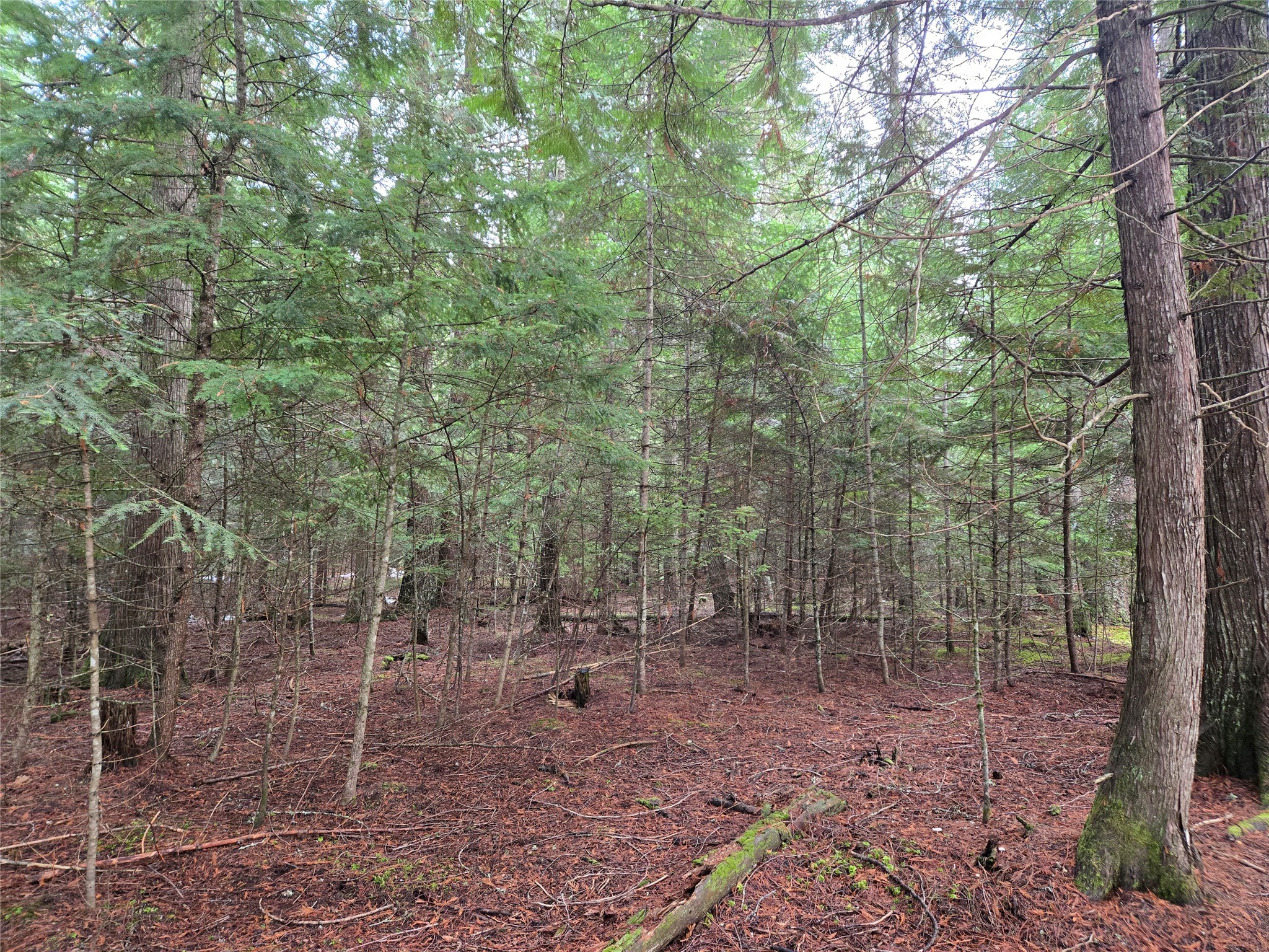 Lot A-1 Elk Heights Lane Property Photo 1