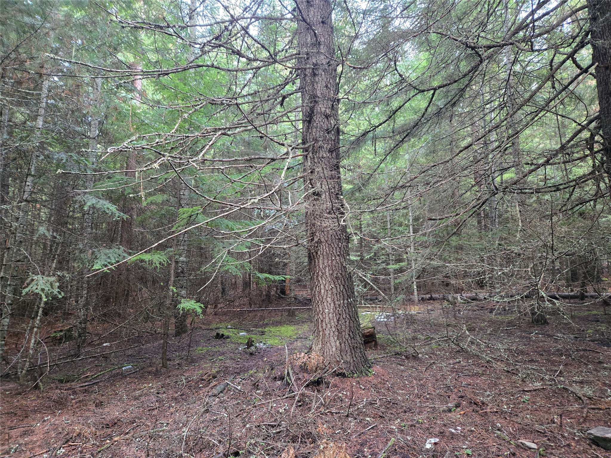 Lot A-2 Elk Heights Lane Property Photo 1