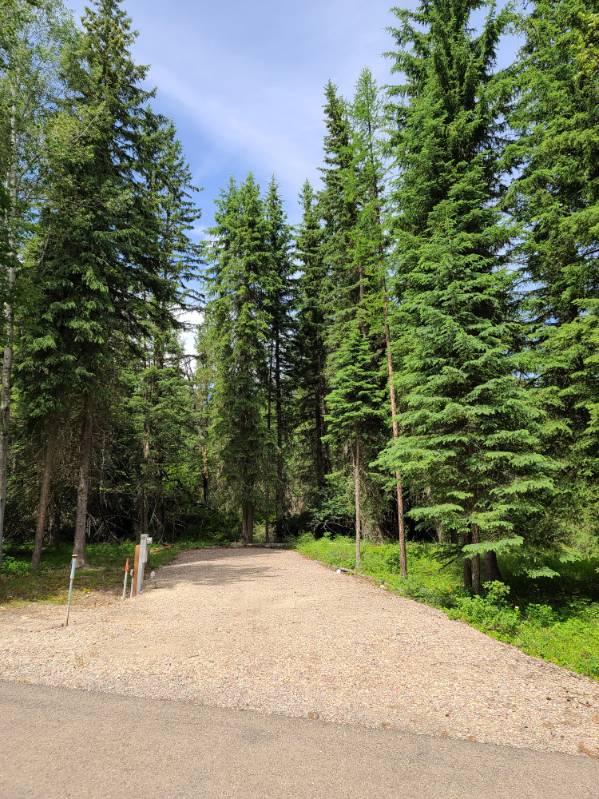 32691 Pine Meadow Drive Property Photo 1