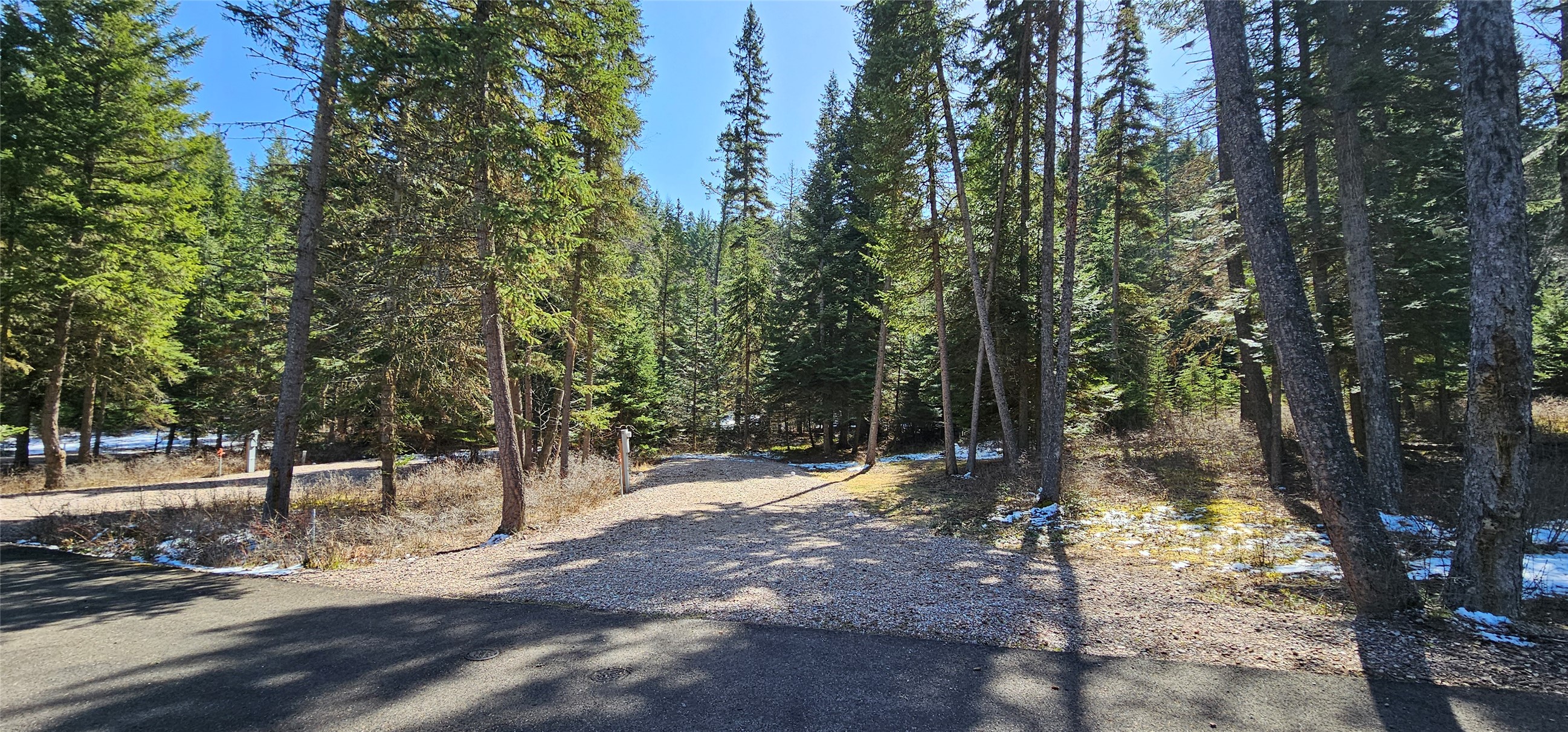 32691 Pine Meadow Drive Property Photo 6
