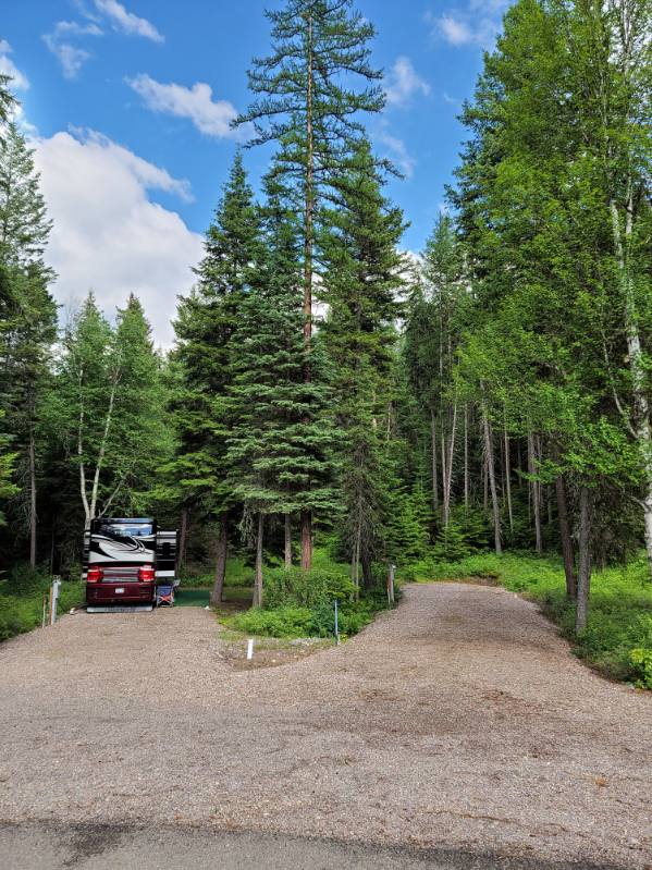 32691 Pine Meadow Drive Property Photo 9