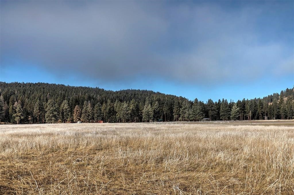 (lot #13) 13442 Vannoy Lane Property Photo 7