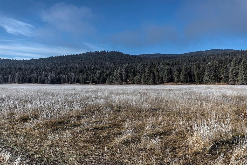 (lot #13) 13442 Vannoy Lane Property Photo 8