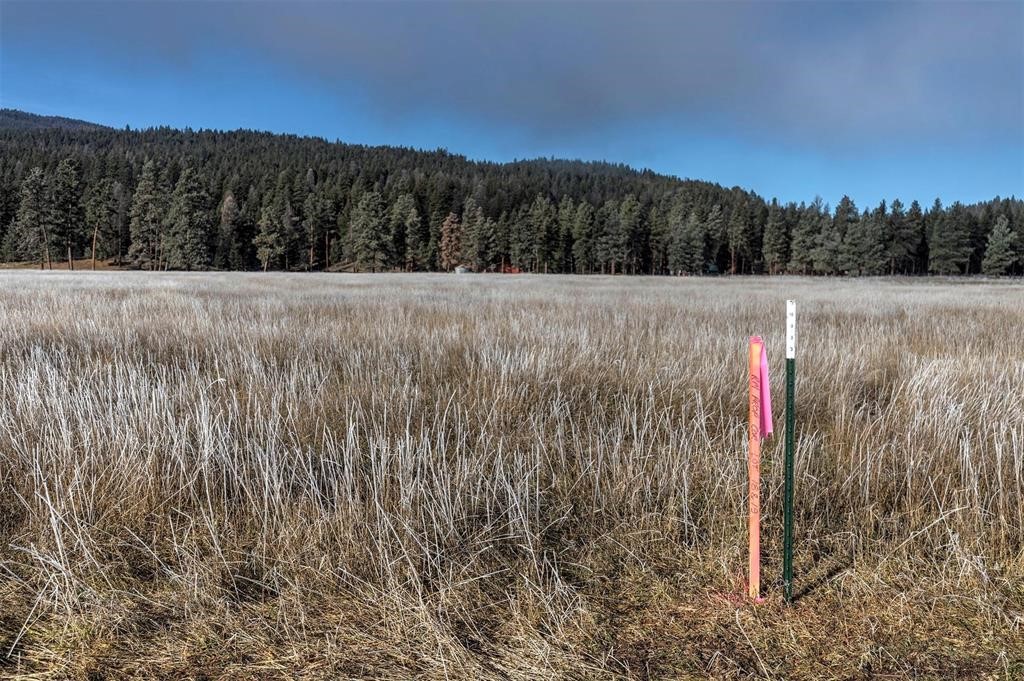 (lot #13) 13442 Vannoy Lane Property Photo 9