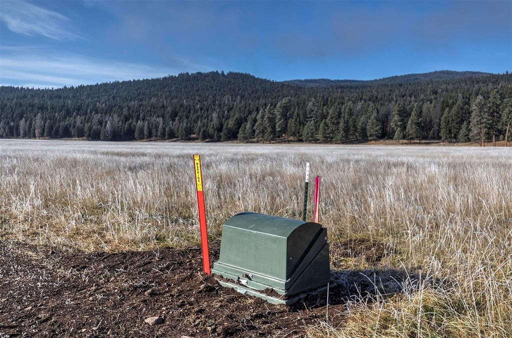 (lot #13) 13442 Vannoy Lane Property Photo 10