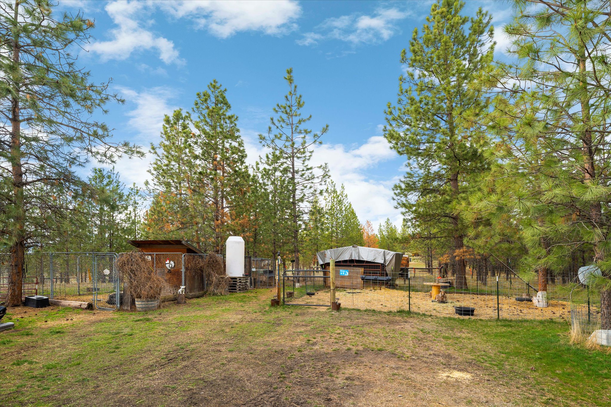 4090 Hubbart Dam Road Property Photo 48
