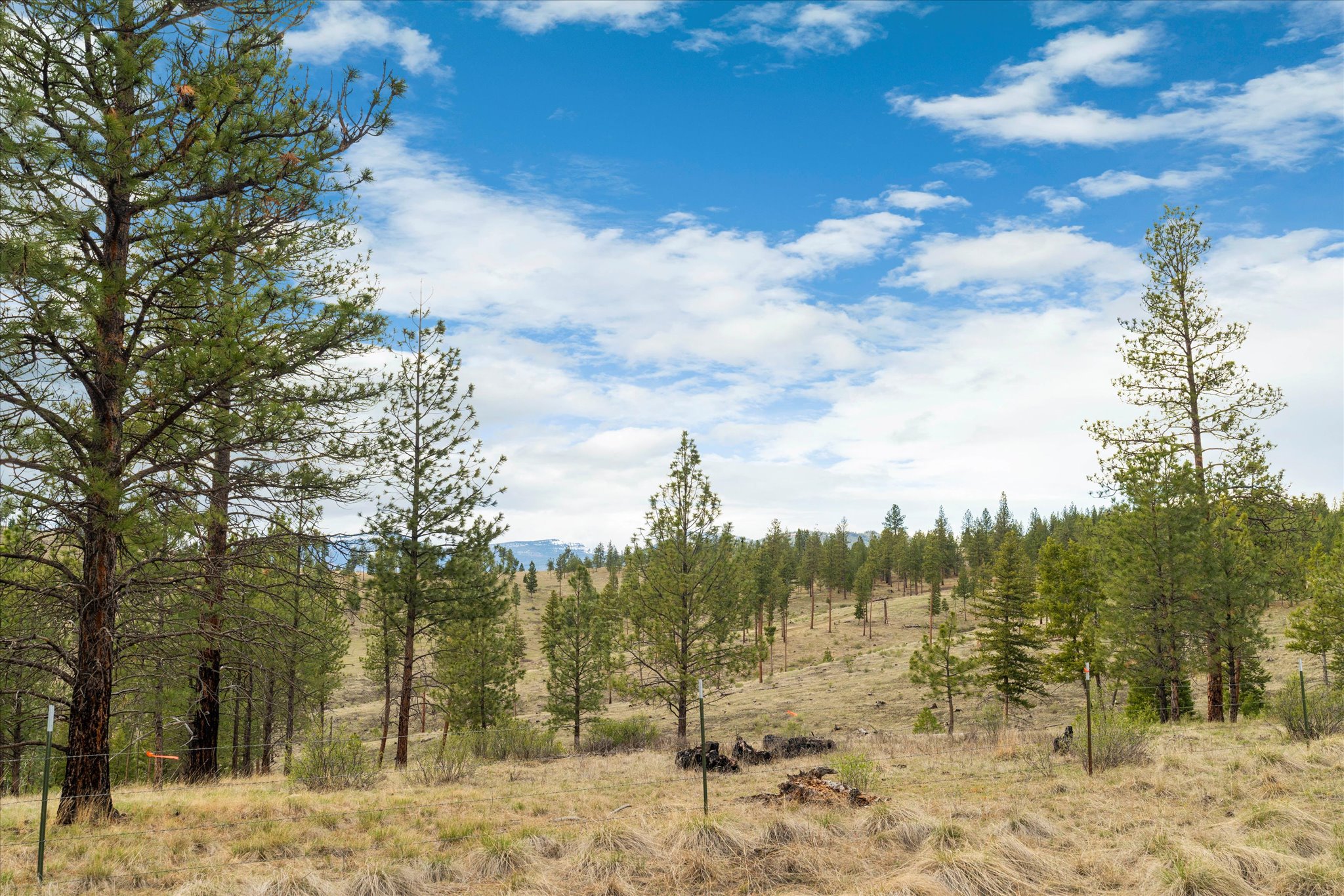4090 Hubbart Dam Road Property Photo 50