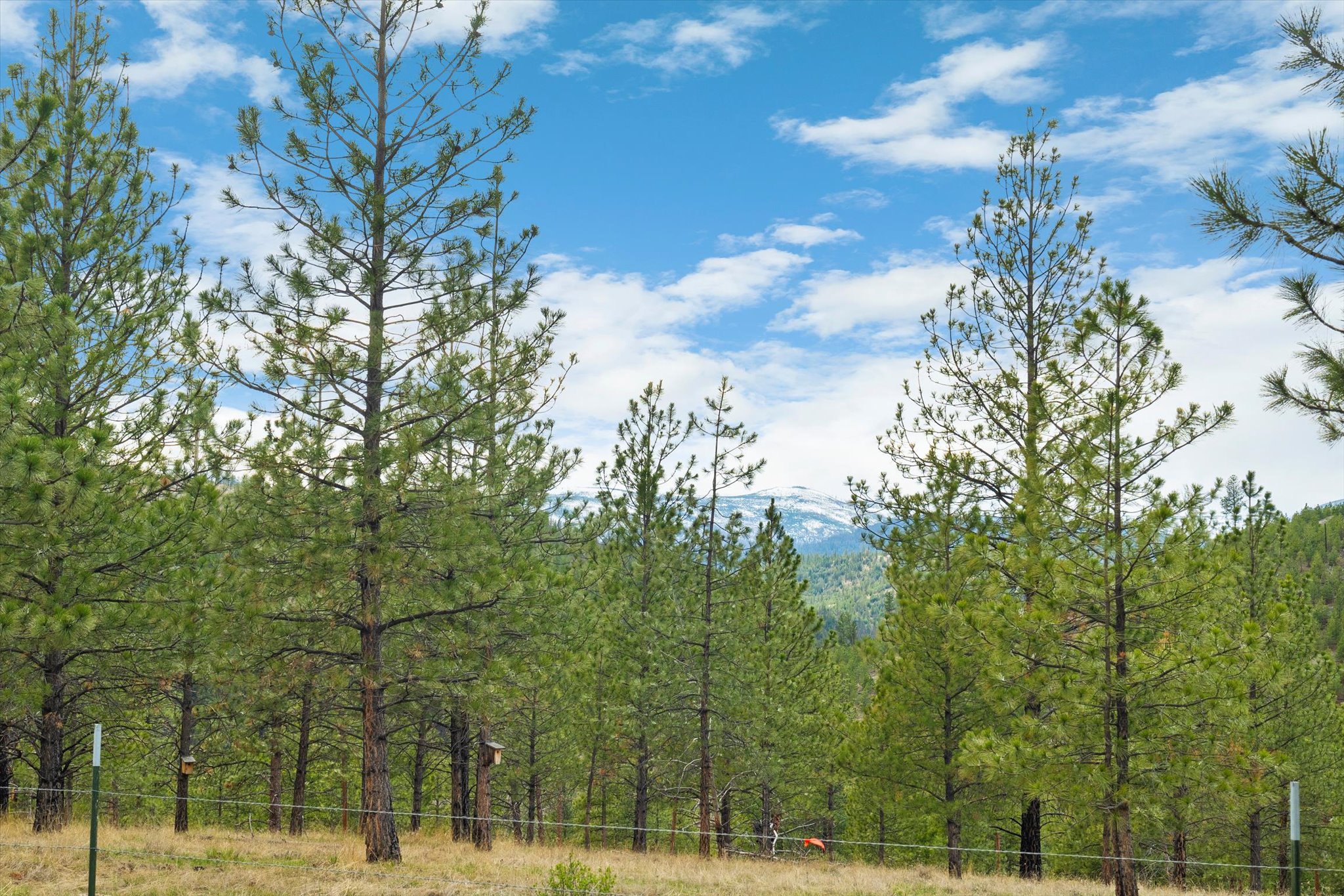 4090 Hubbart Dam Road Property Photo 51