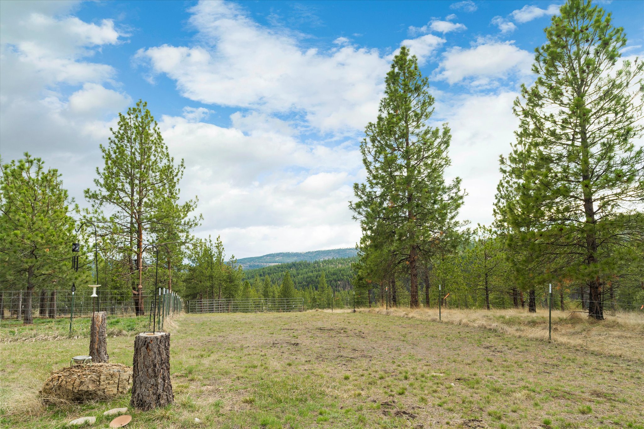 4090 Hubbart Dam Road Property Photo 52
