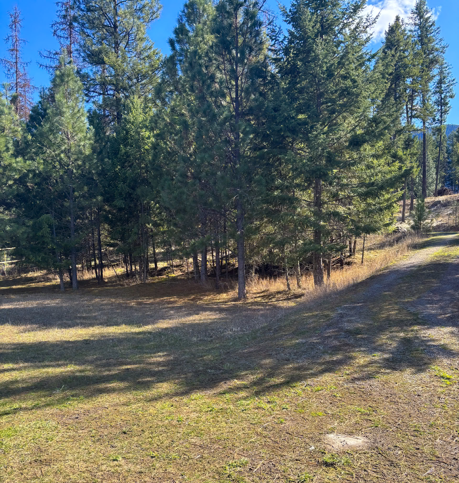 Nhn Whitham Drive Property Photo 14