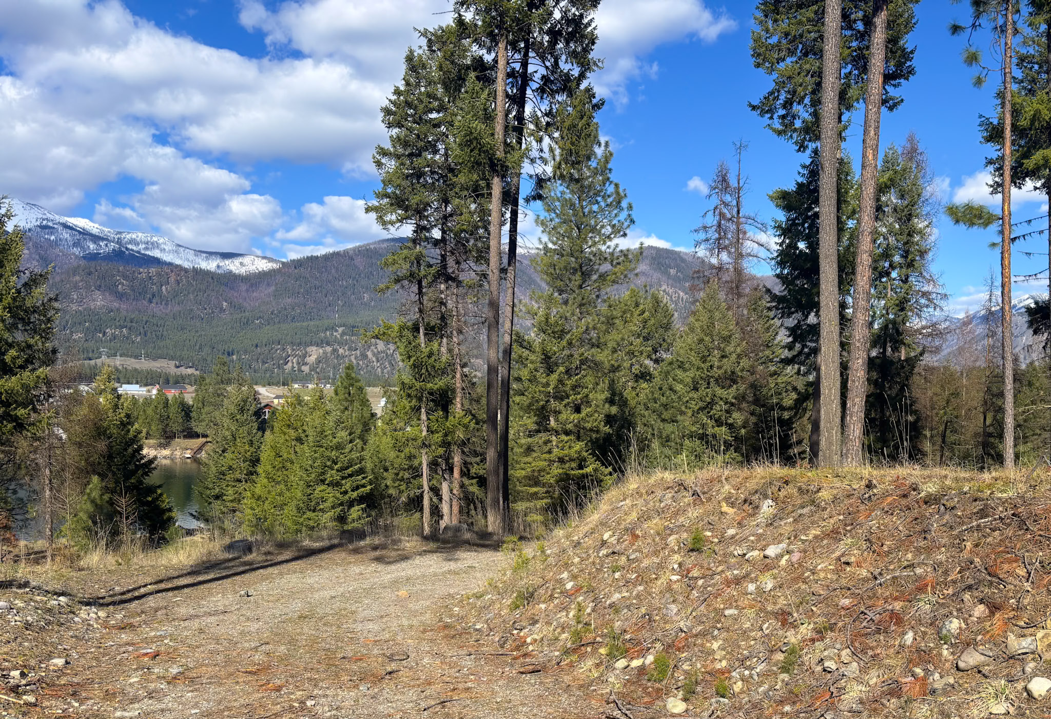 Nhn Whitham Drive Property Photo 23