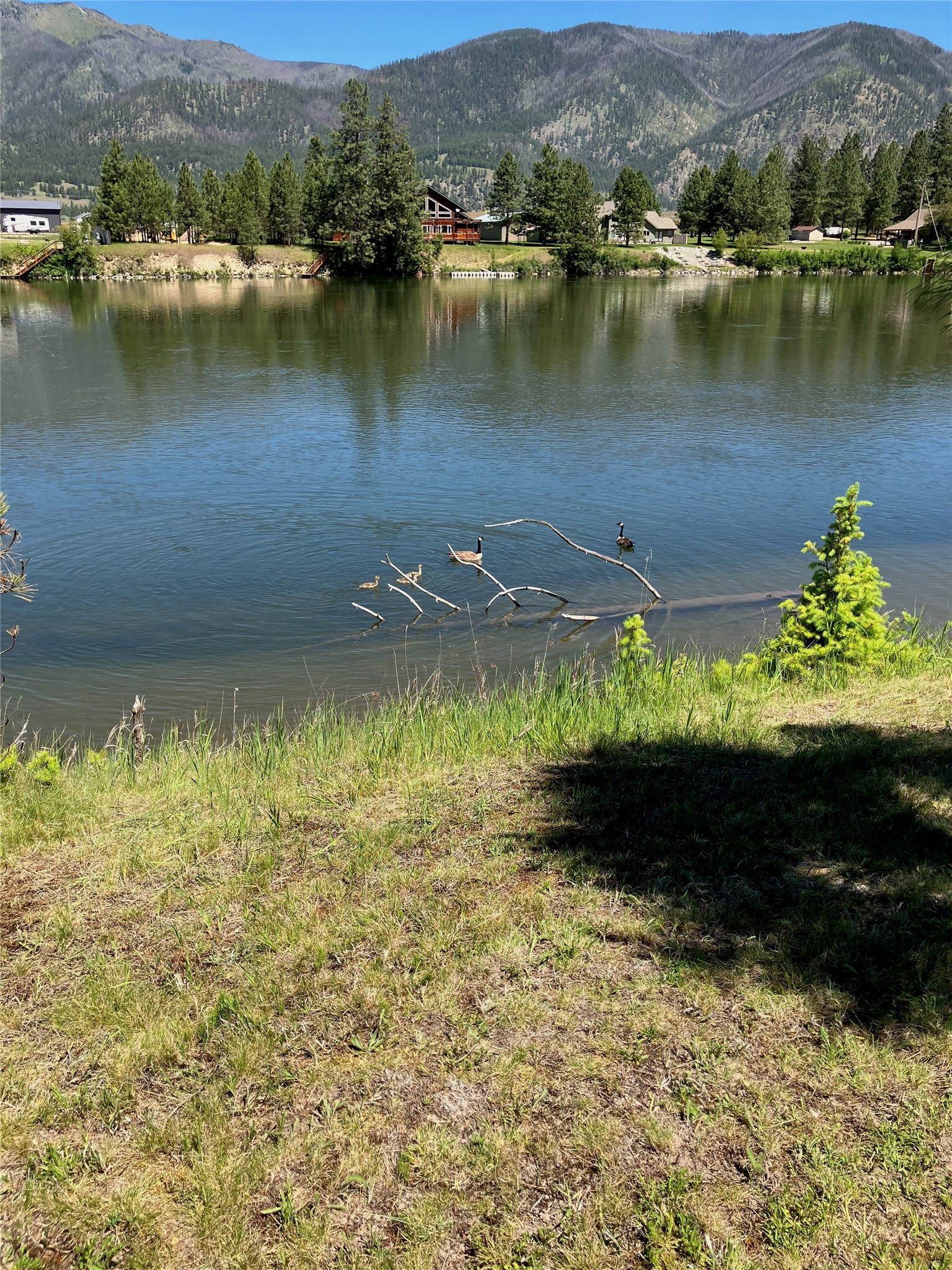 Nhn Whitham Drive Property Photo 28