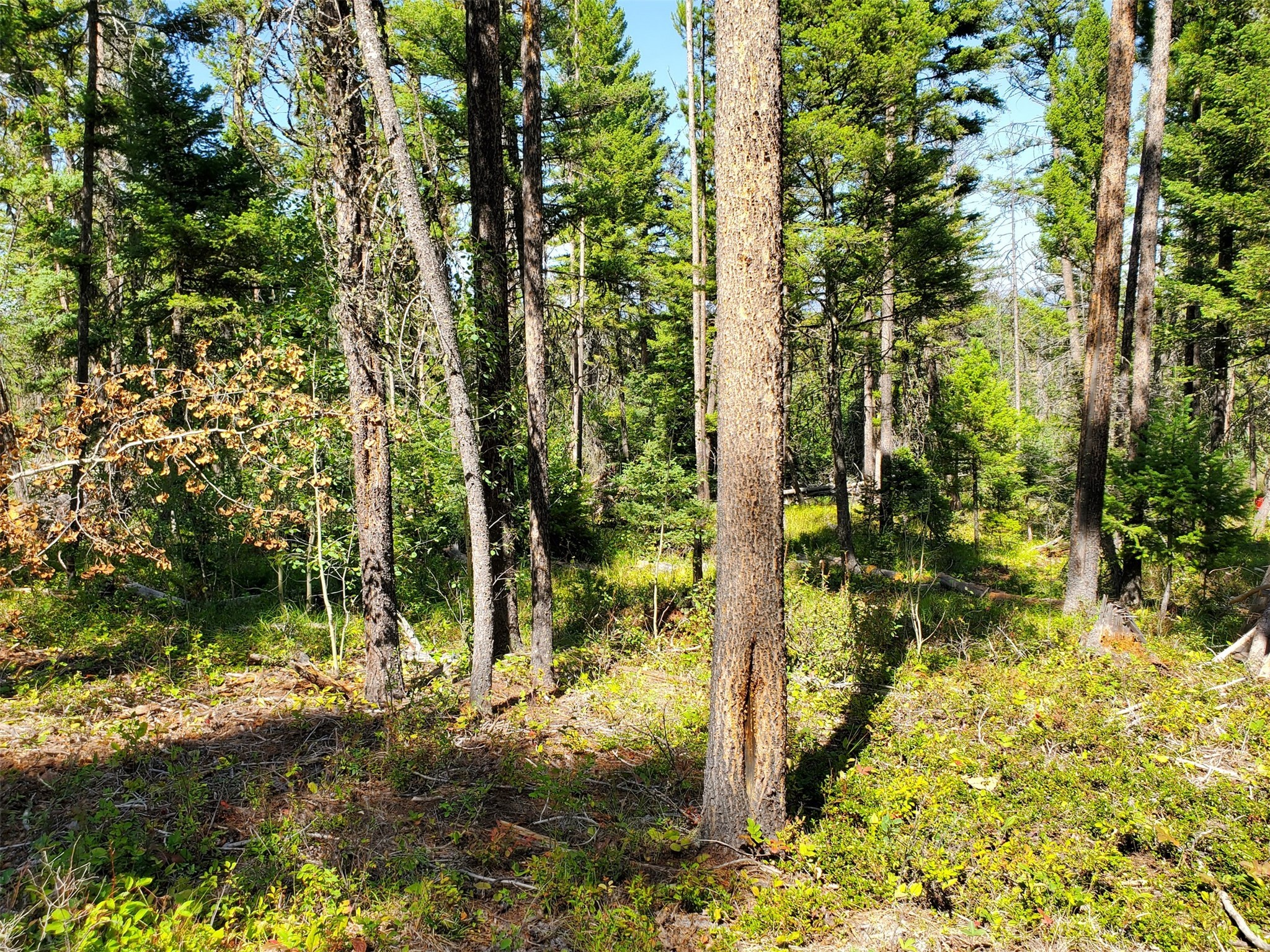 Tbd Bear Gulch Lot 5 Property Photo