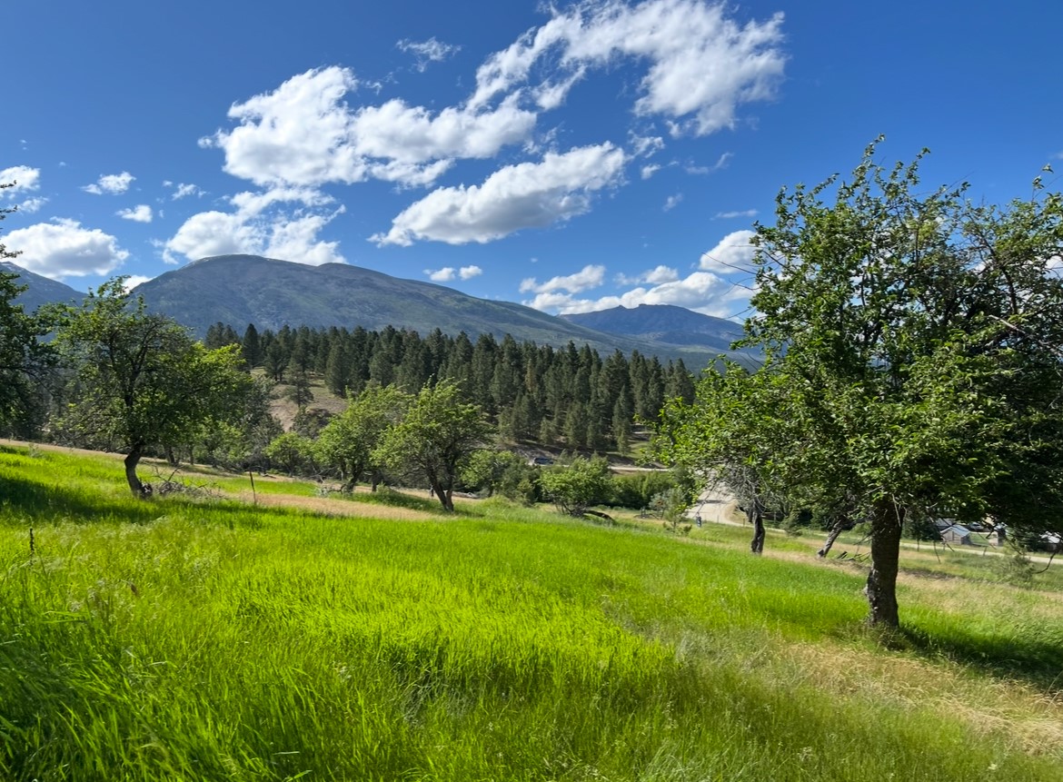 204 Camas Orchard Trail Property Photo