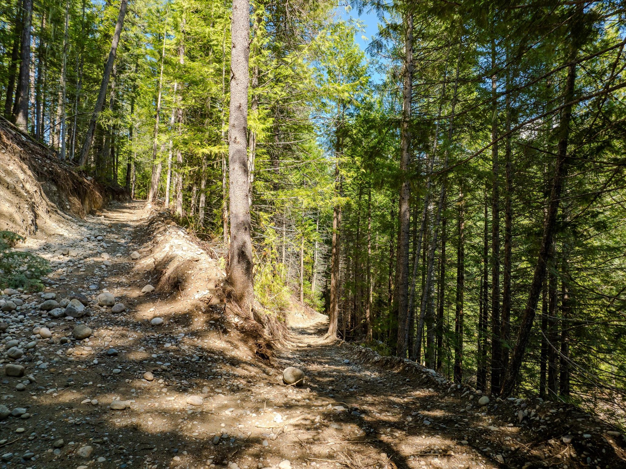 8556 Yaak River Road Property Photo 26