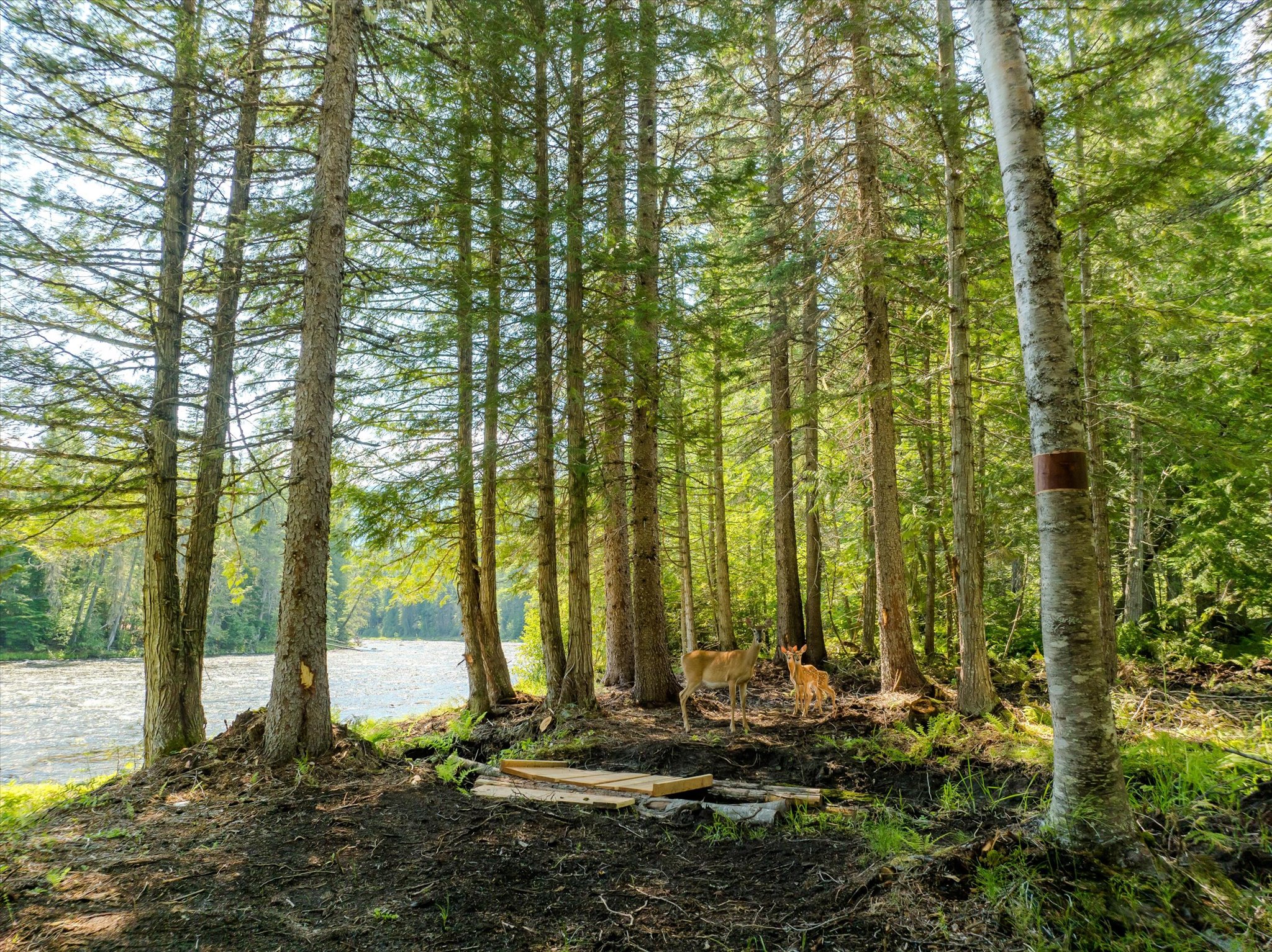 8556 Yaak River Road Property Photo 28