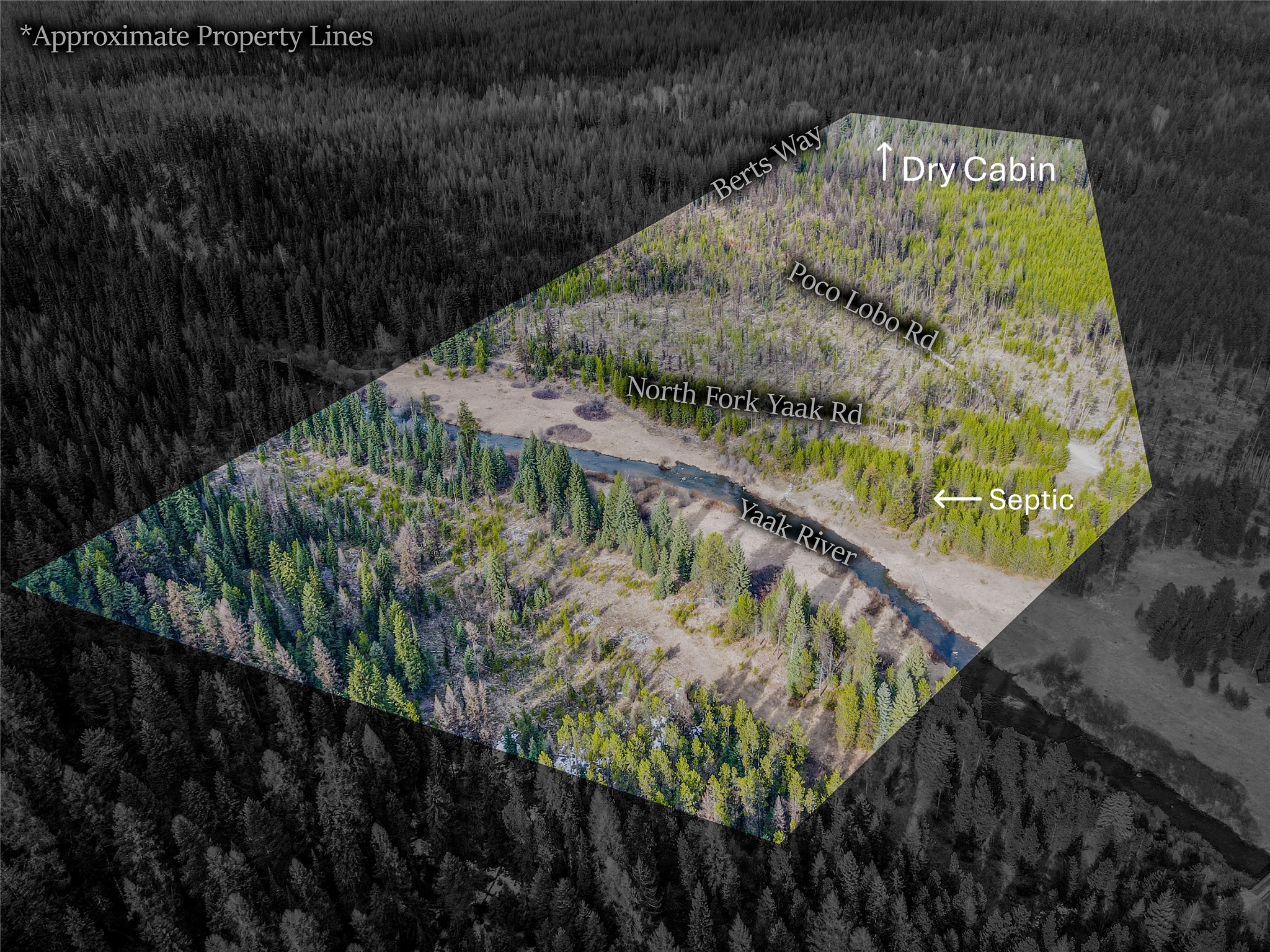 1656 N Fork Yaak Road Property Photo 7