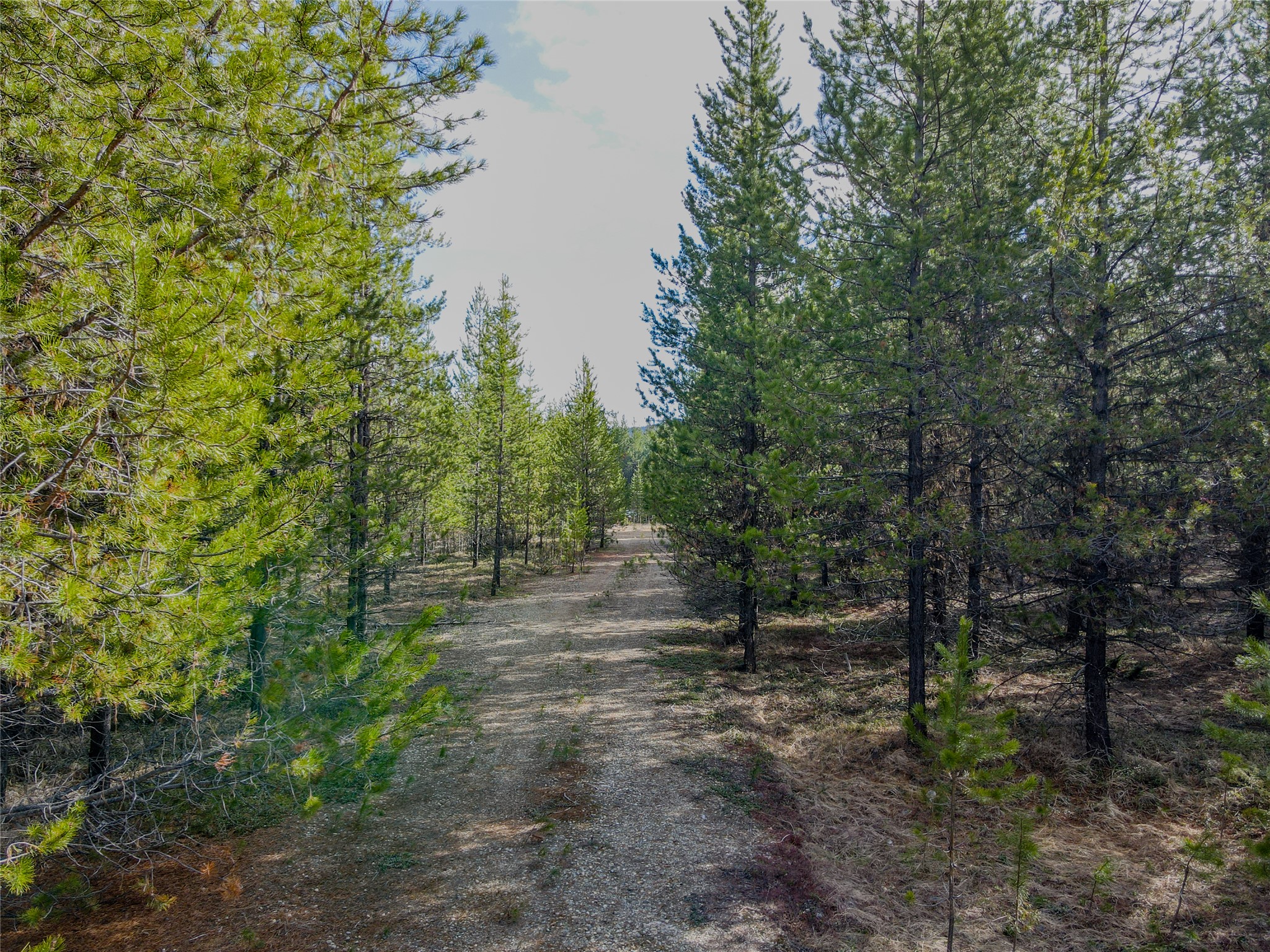 1656 N Fork Yaak Road Property Photo 15
