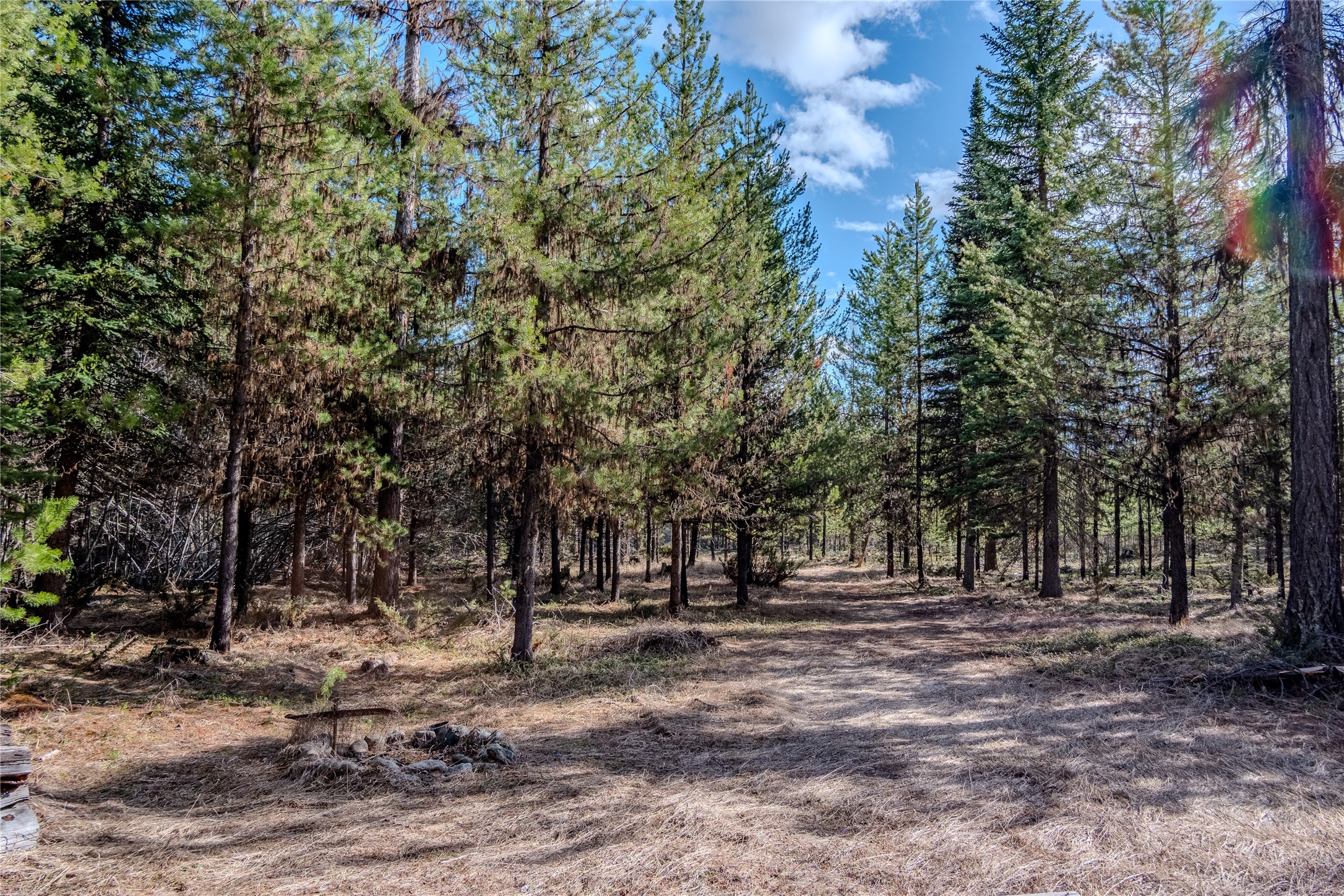 1656 N Fork Yaak Road Property Photo 25